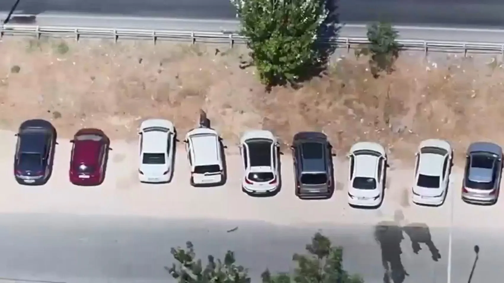 Büyükçekmece sahilinde hırsızlık yapan ikiliye dronlu suçüstü