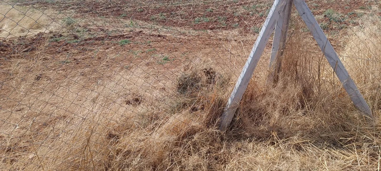 Kırşehir'de mandıra baskını yapan hırsızlar Ankara'da yakalandı