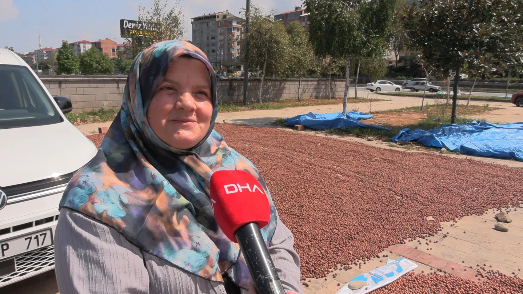 Trabzon'da fındık mesaisi: Sahil yolu kurutma alanına dönüştü