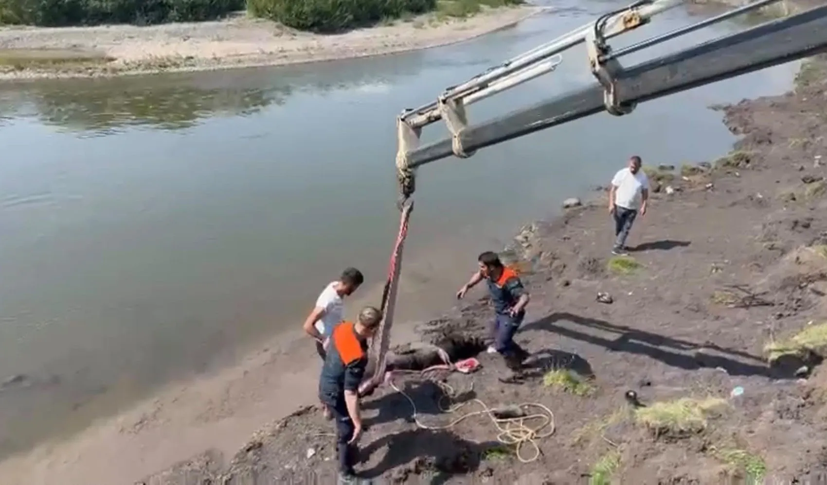 Kura Nehri'nde balçığa saplanan atı AFAD vinçle kurtardı