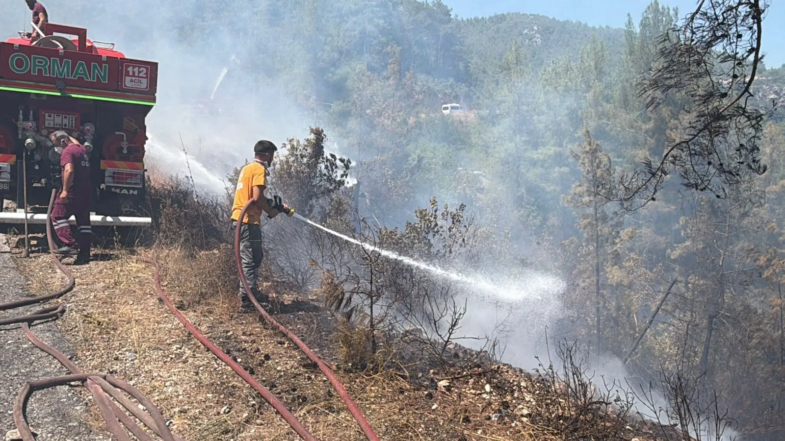 Alanya'da ormanlık alanda yangın paniği
