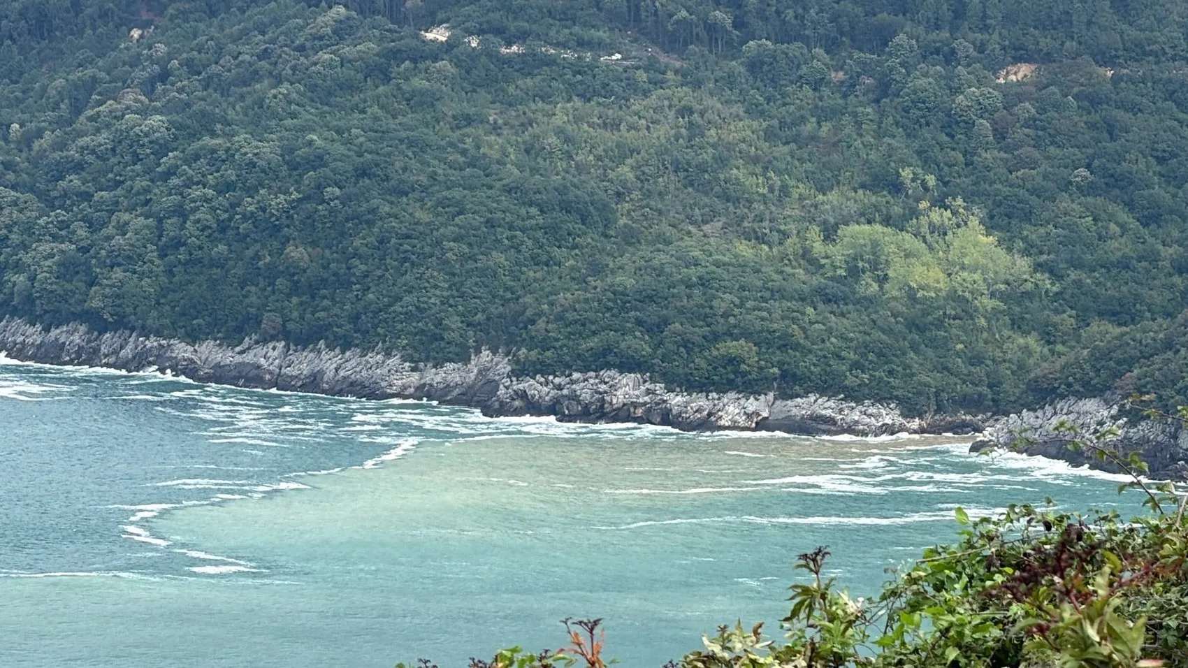 Amasra kıyılarında doğa alarm verdi: Dev dalgalar limanı dövüyor