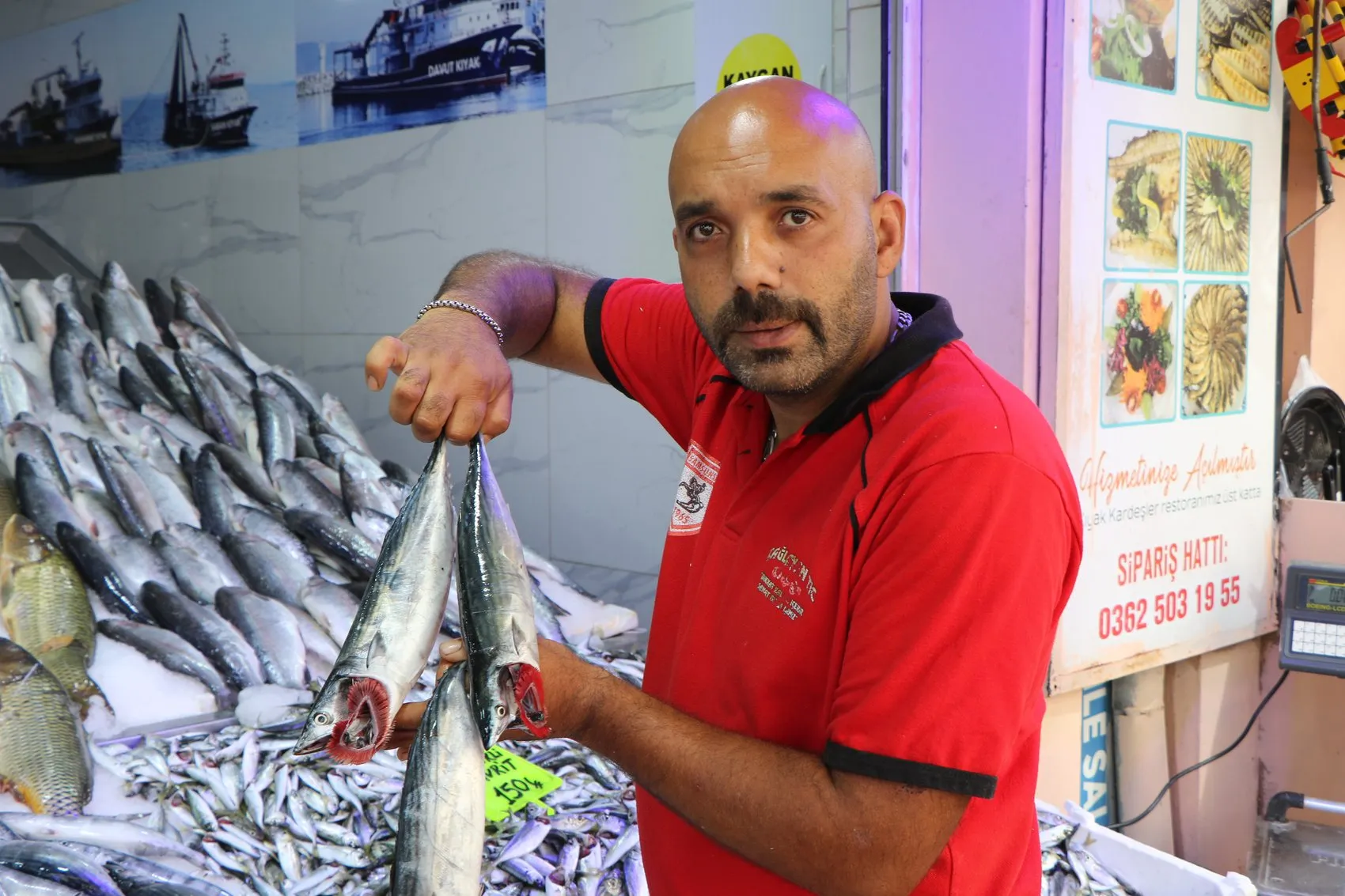 Karadeniz'de beklenen gün geldi: Palamut bereketiyle sezon açıldı