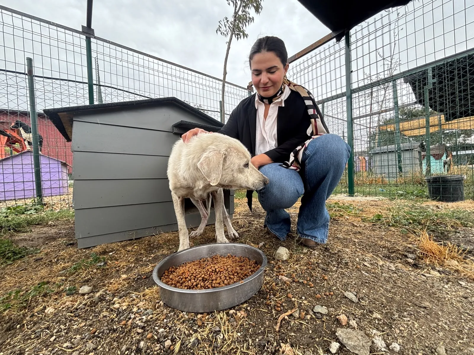 Pire istilasının ortasından kurtarılan köpeğe, hayatını değiştiren avukatın ismi verildi