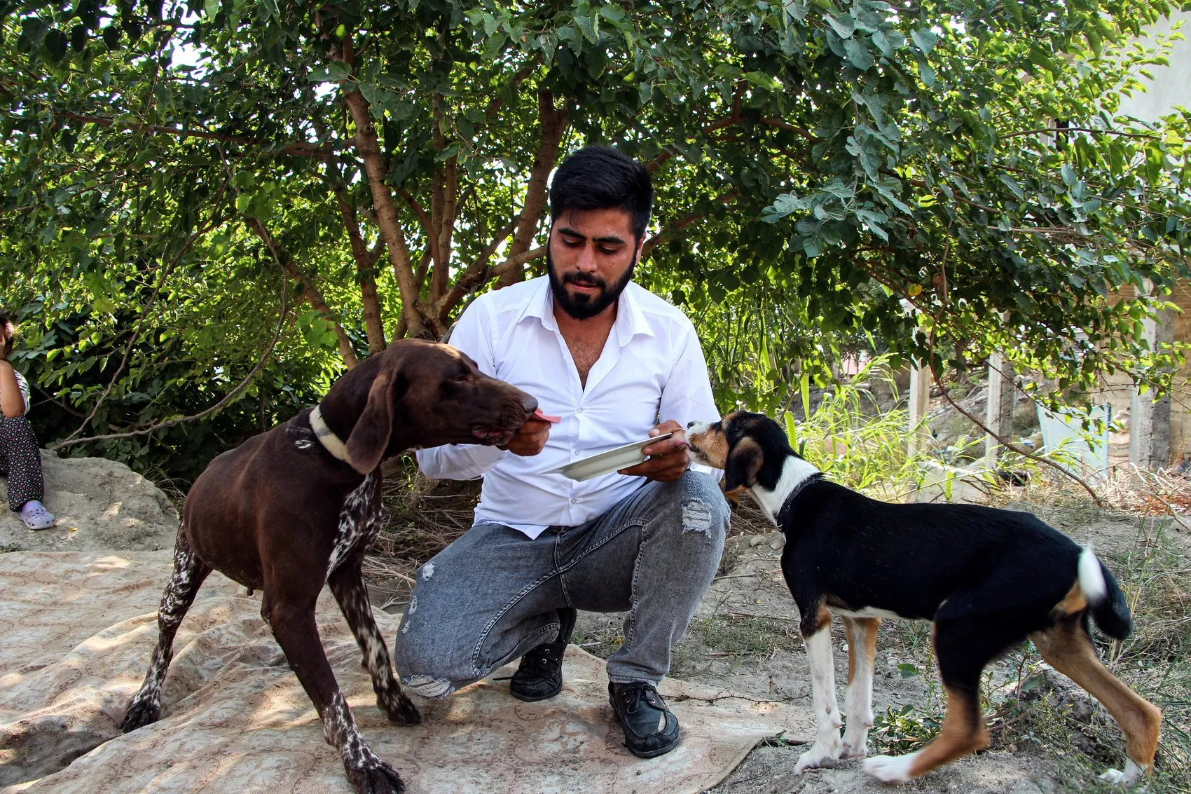 Adana'da komşu dehşeti: İnşaatta uyuyan köpeğe sopalı saldırı