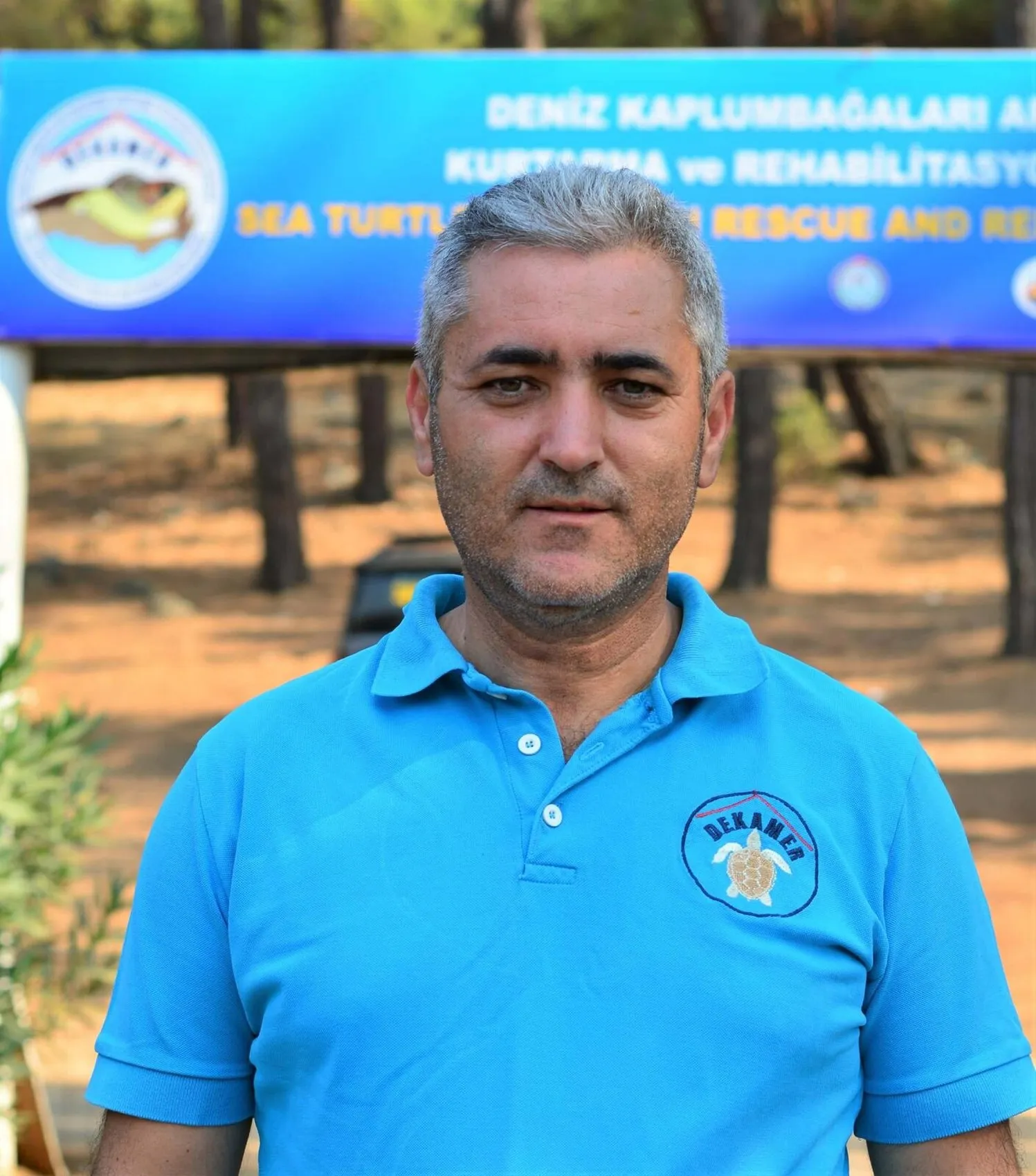 Bodrum sahillerinde minik misafirler: Caretta carettaların zorlu yolculuğu başladı