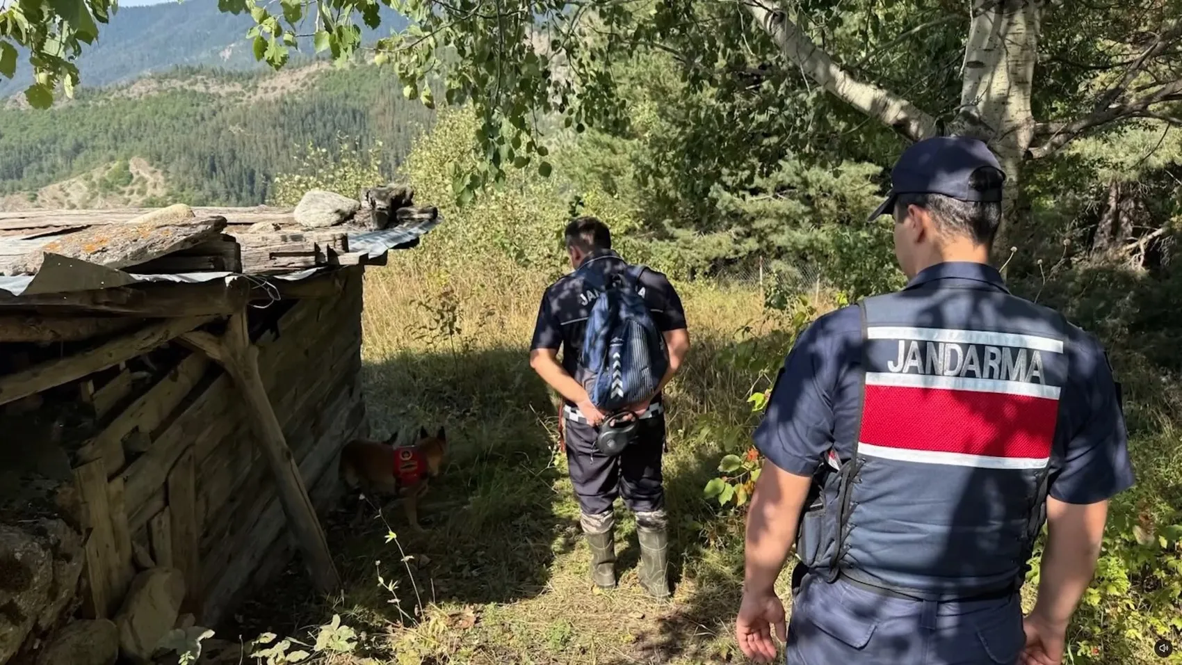 30 yıllık sır perdesi ormanlık alandaki mağarada aralandı: Nigar Bilgin cinayetinde şok detaylar