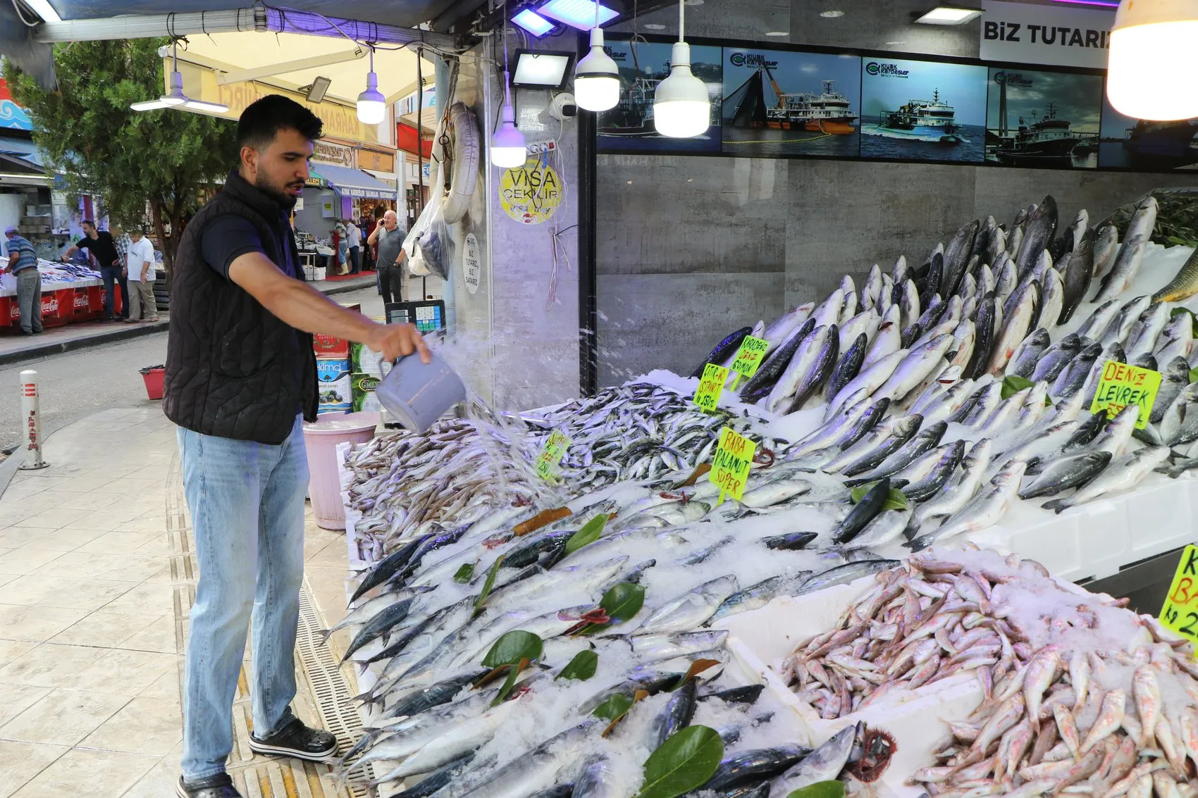 Karadeniz'de beklenen gün geldi: Palamut bereketiyle sezon açıldı