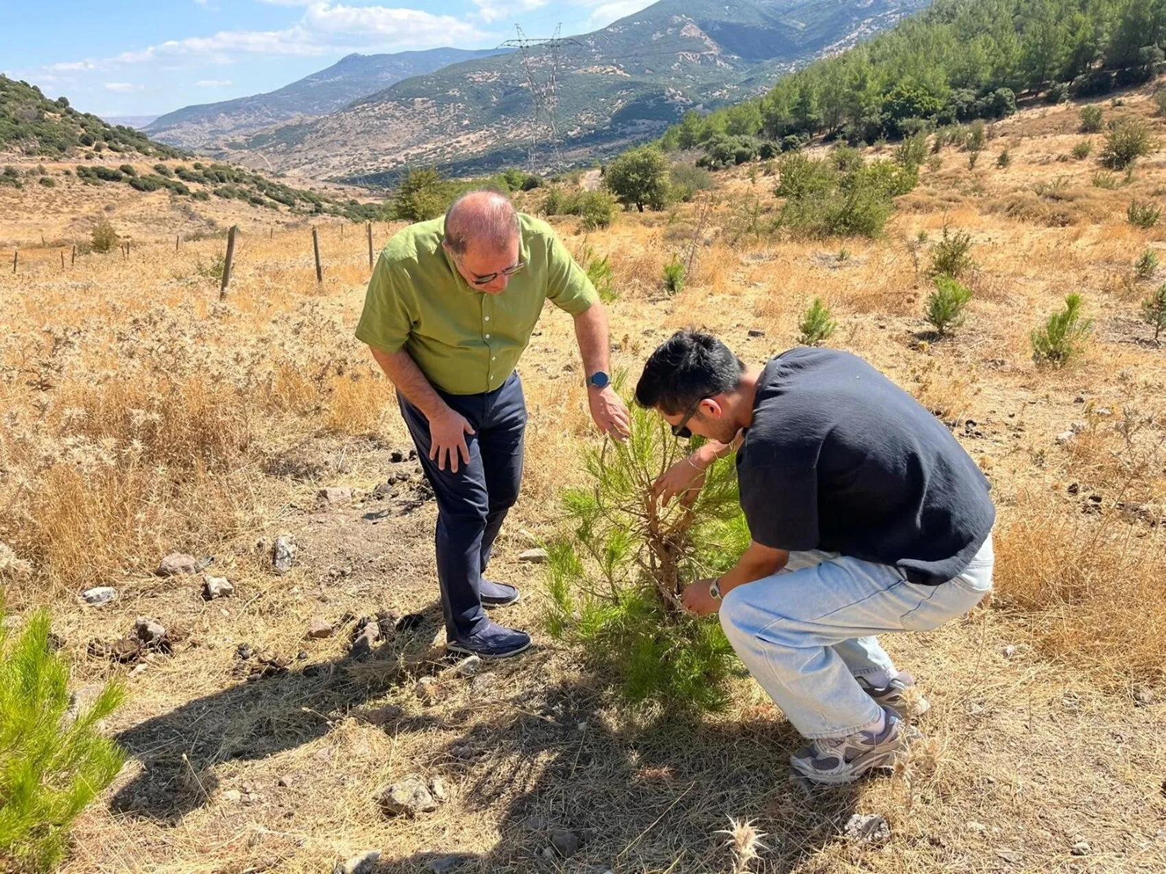 Doğanın Mimarisini Yeniden Keşfettiler: Baklava ve Hilal Şeklindeki Havuzlar Kuraklığa Kalkan Oluyor