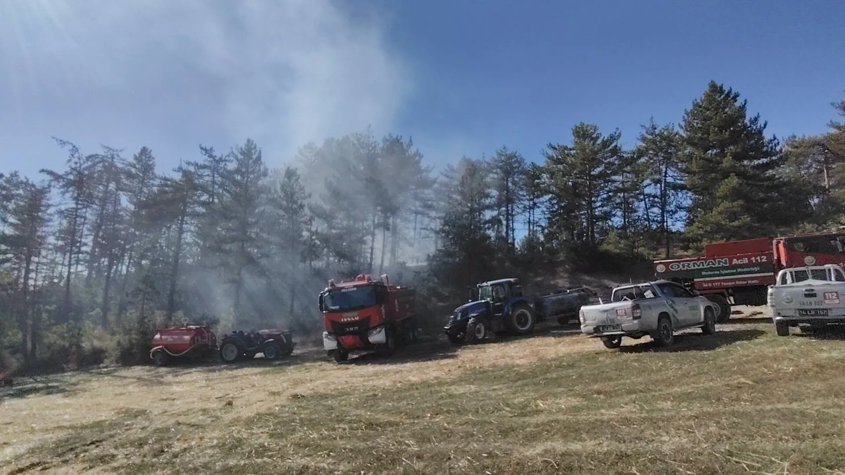 Küçük bir kuşun trajik sonu ormanı küle çeviriyordu