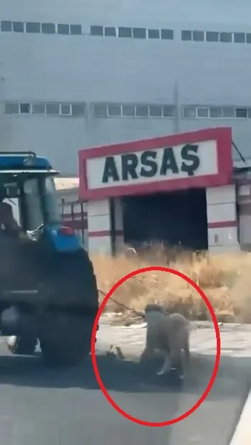 Diyarbakır'da vicdanları sızlatan görüntü: Traktörün arkasına bağlayıp koşturdu
