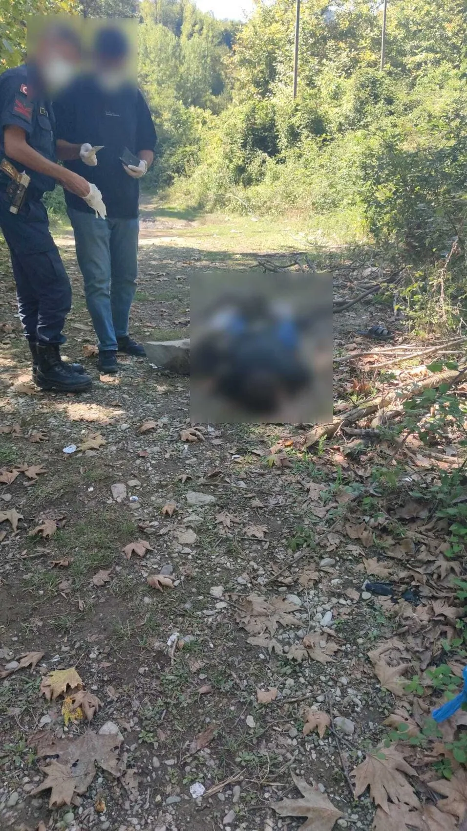 Cide'de dere kenarında kan donduran cinayet: Husumetlisi tarafından av tüfeğiyle vuruldu