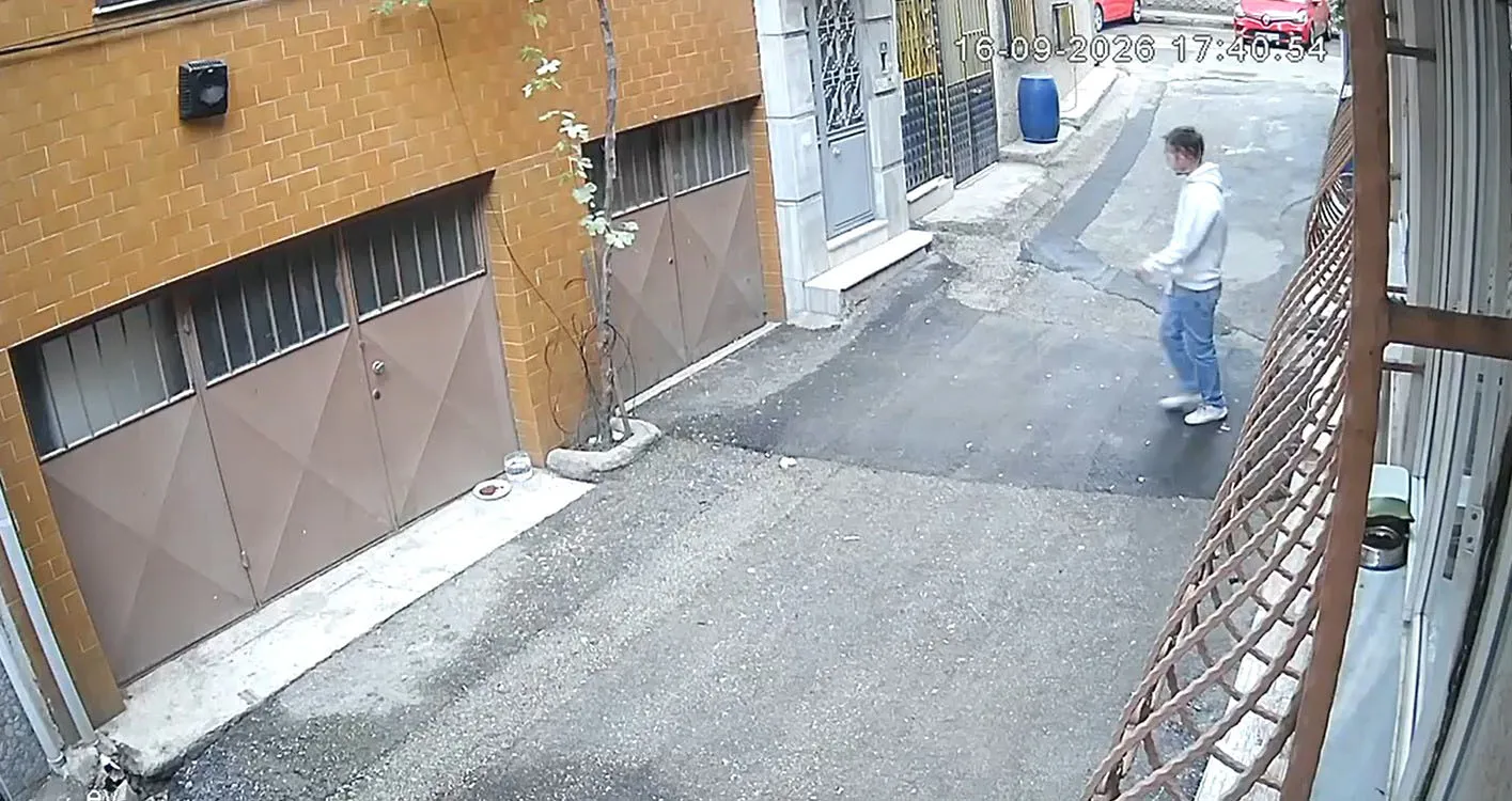 Bursa'da vicdanları sızlatan anlar: Sokak hayvanlarının mama kaplarını çöpe attılar