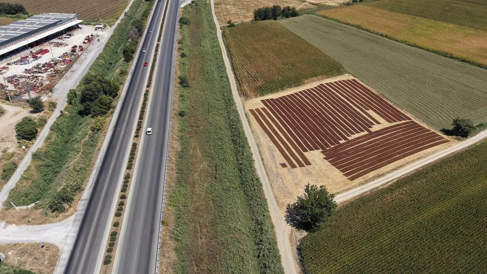 Gediz Ovası'nda hasat bereketi: Yol kenarları doğal sergi alanına dönüştü