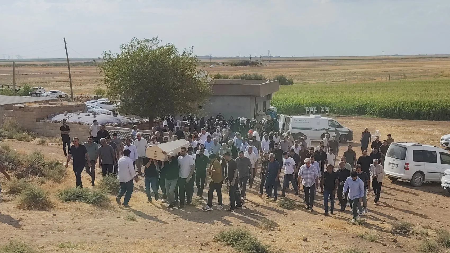Mardin'de kuzen dehşeti: 13 yaşındaki çocuğun cansız bedeni mısır tarlasında bulundu