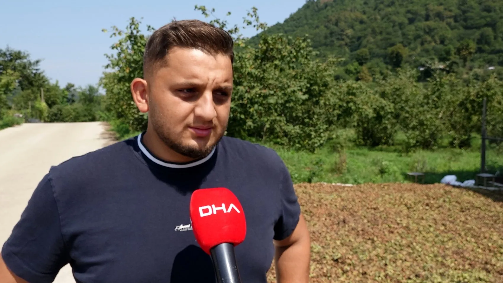 Fındık bahçelerinde kabus sona erdi: Samuray ordusu kokarcayı dize getirdi