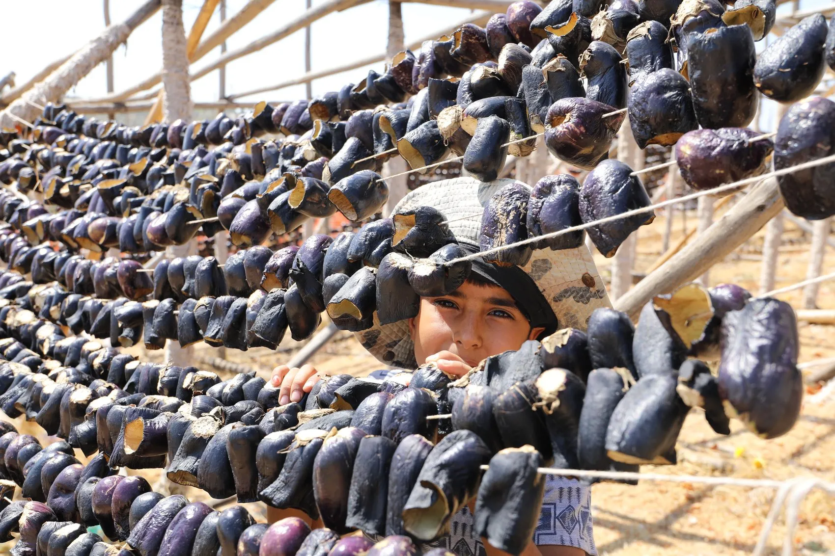 Gaziantep'in yüksek tepelerinde güneşle gelen lezzet: 40 derecelik sıcaklıkta kurutulan sebzeler dünyaya yayılıyor