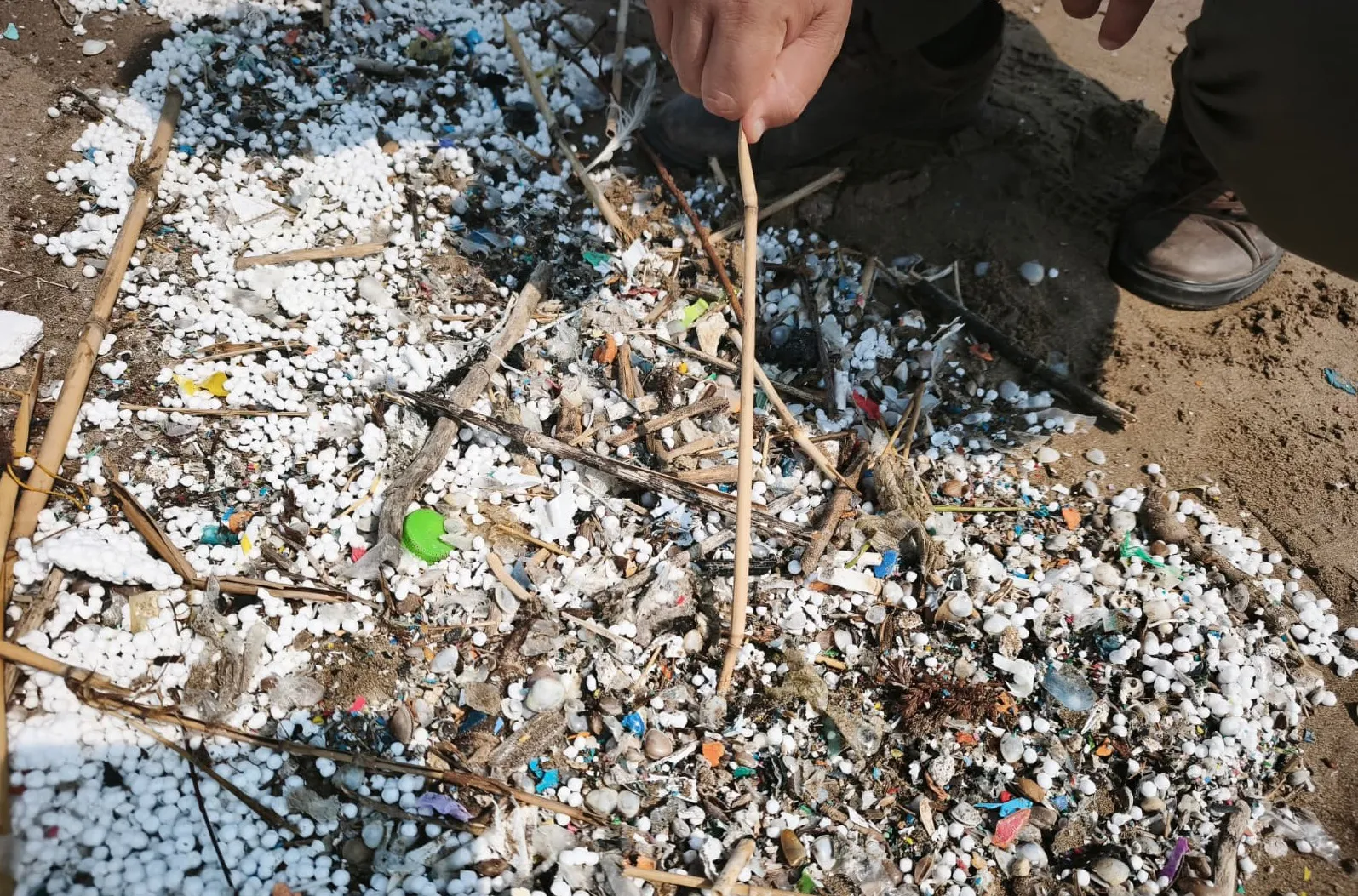 Akdeniz'in derinliklerinde sessiz istila: Balıkçı ağları artık deniz canlısı değil plastik doluyor