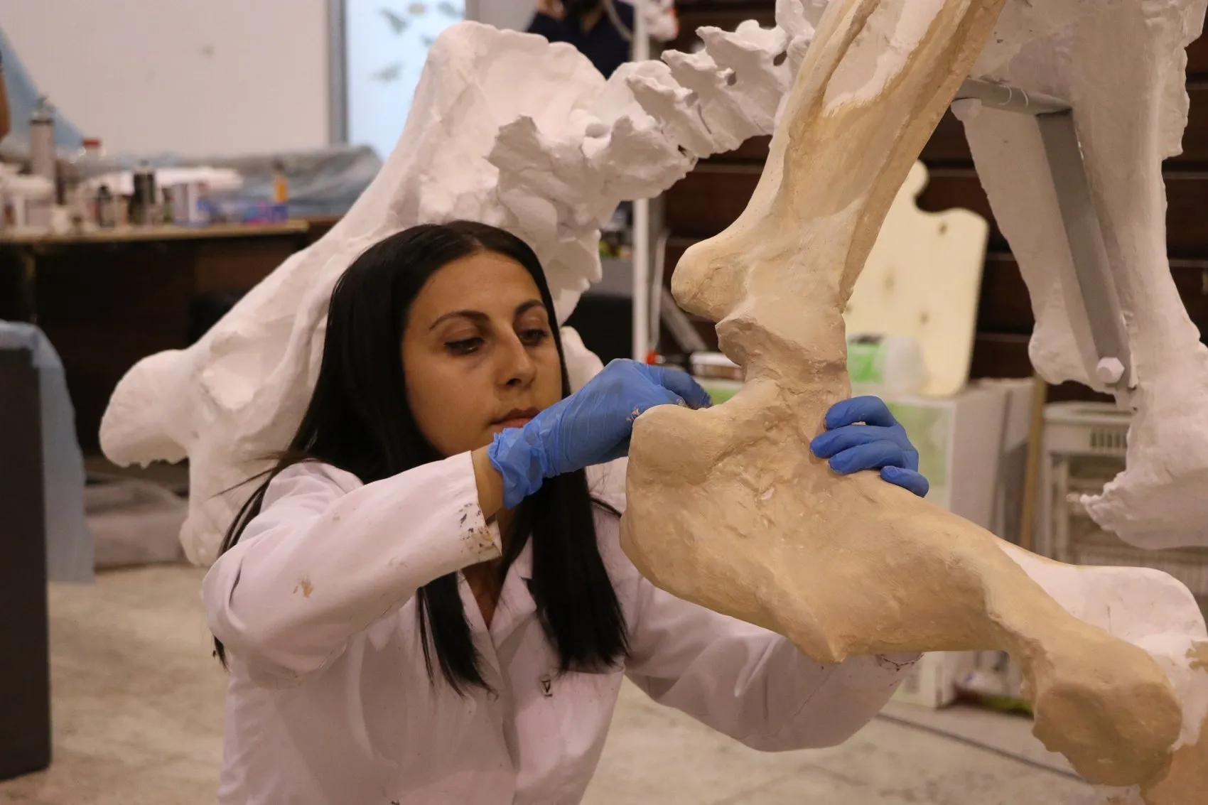 Milyonlarca yıl öncesinin devleri Kayseri'de yeniden hayat buluyor: 3D teknolojisiyle ayağa kaldırıldılar