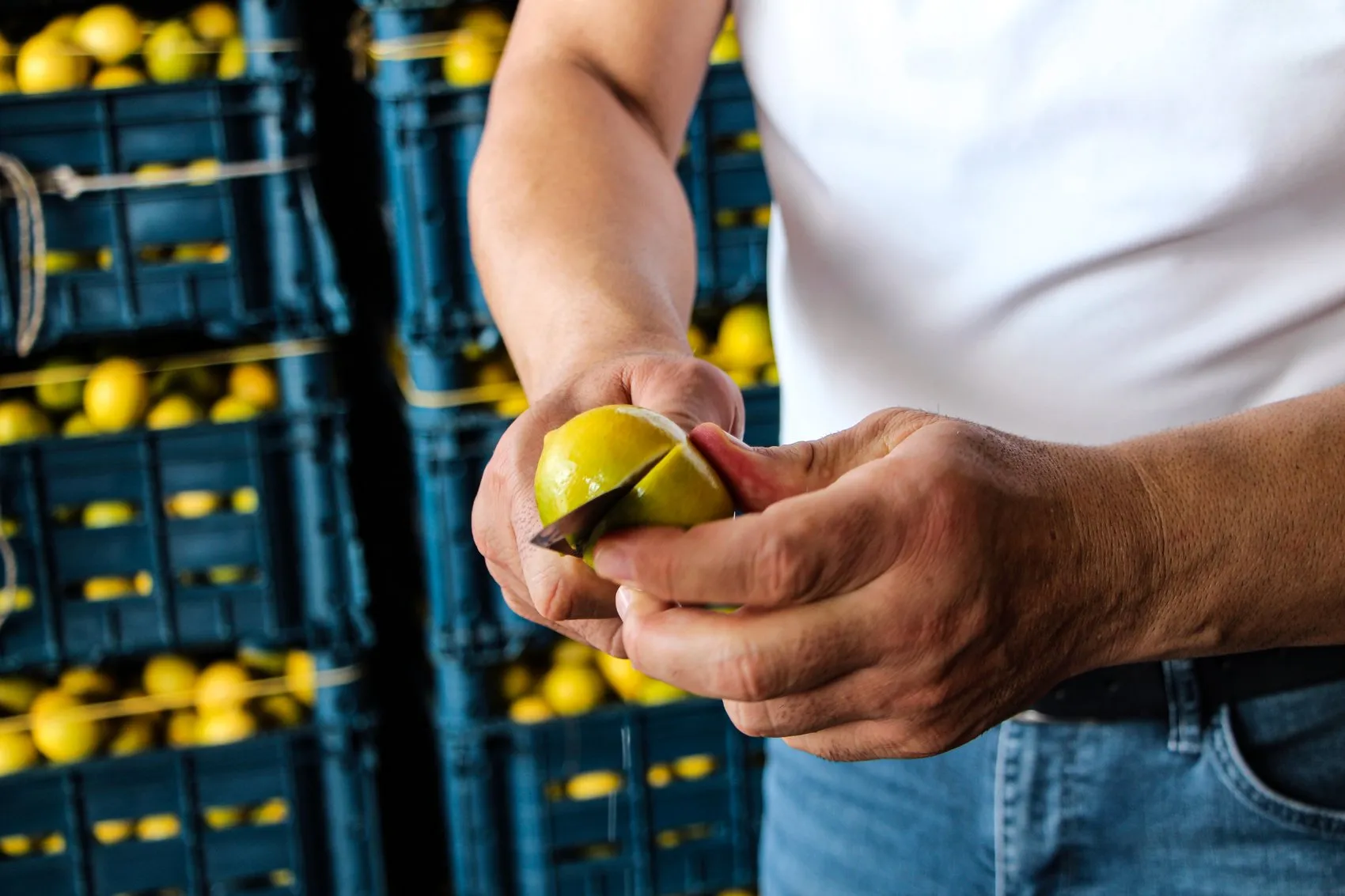 Çiftçinin 5 liraya sattığı limon markette 100 lirayı buldu: Hasat başladı ama yüzler gülmüyor