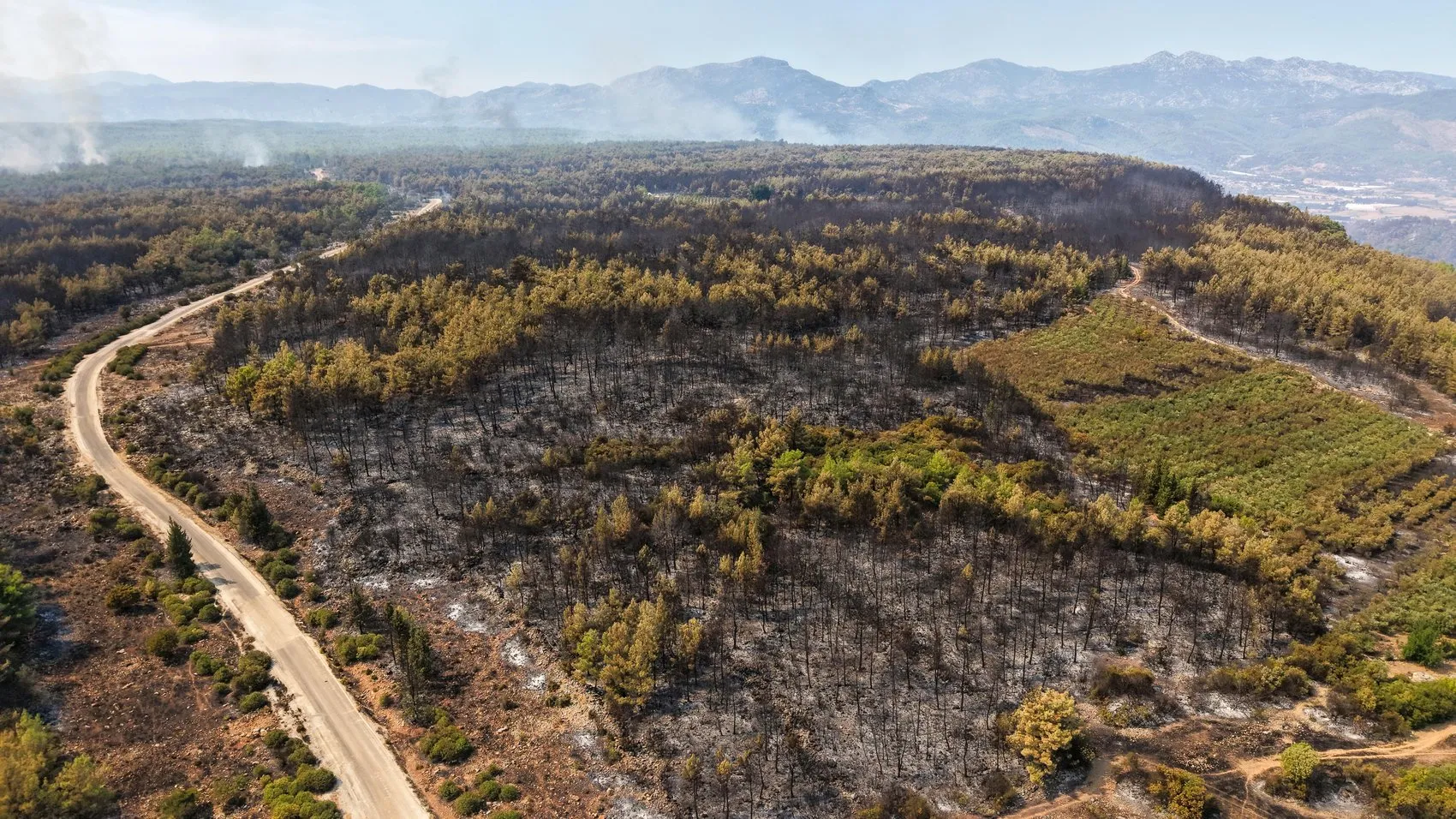 Antalya Aksu'da orman yangını kabusu: Binlerce hane karanlığa gömüldü