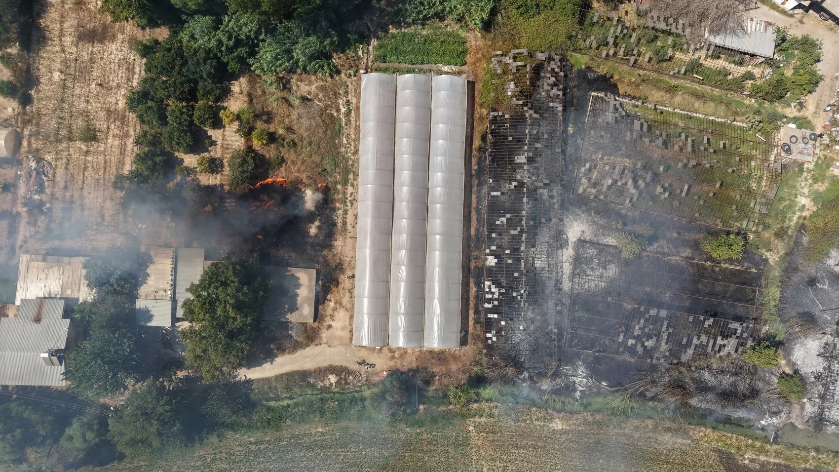 Antalya'da korku dolu anlar: Alevlerin arasından kurtardığı malağına sarılıp gözyaşı döktü
