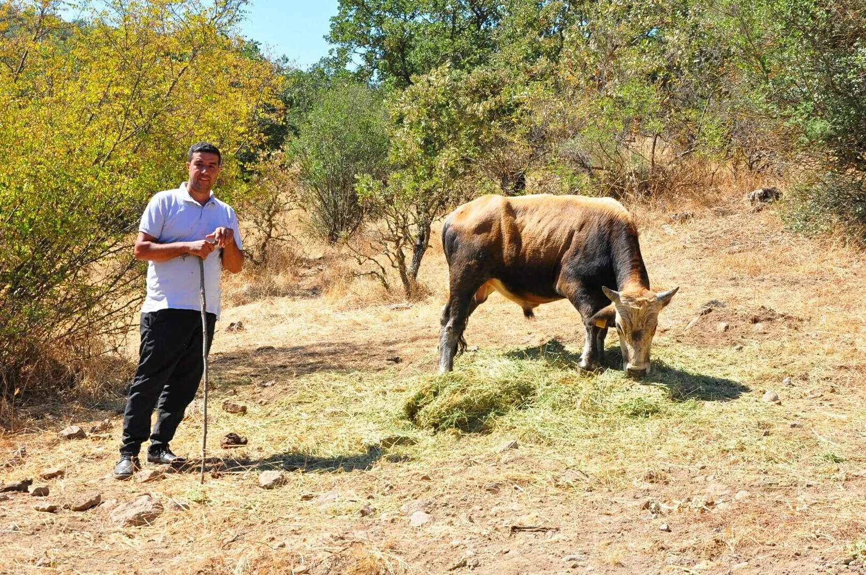 Dağlarda beş ay süren kovalamaca: Kementle gelen mutlu son