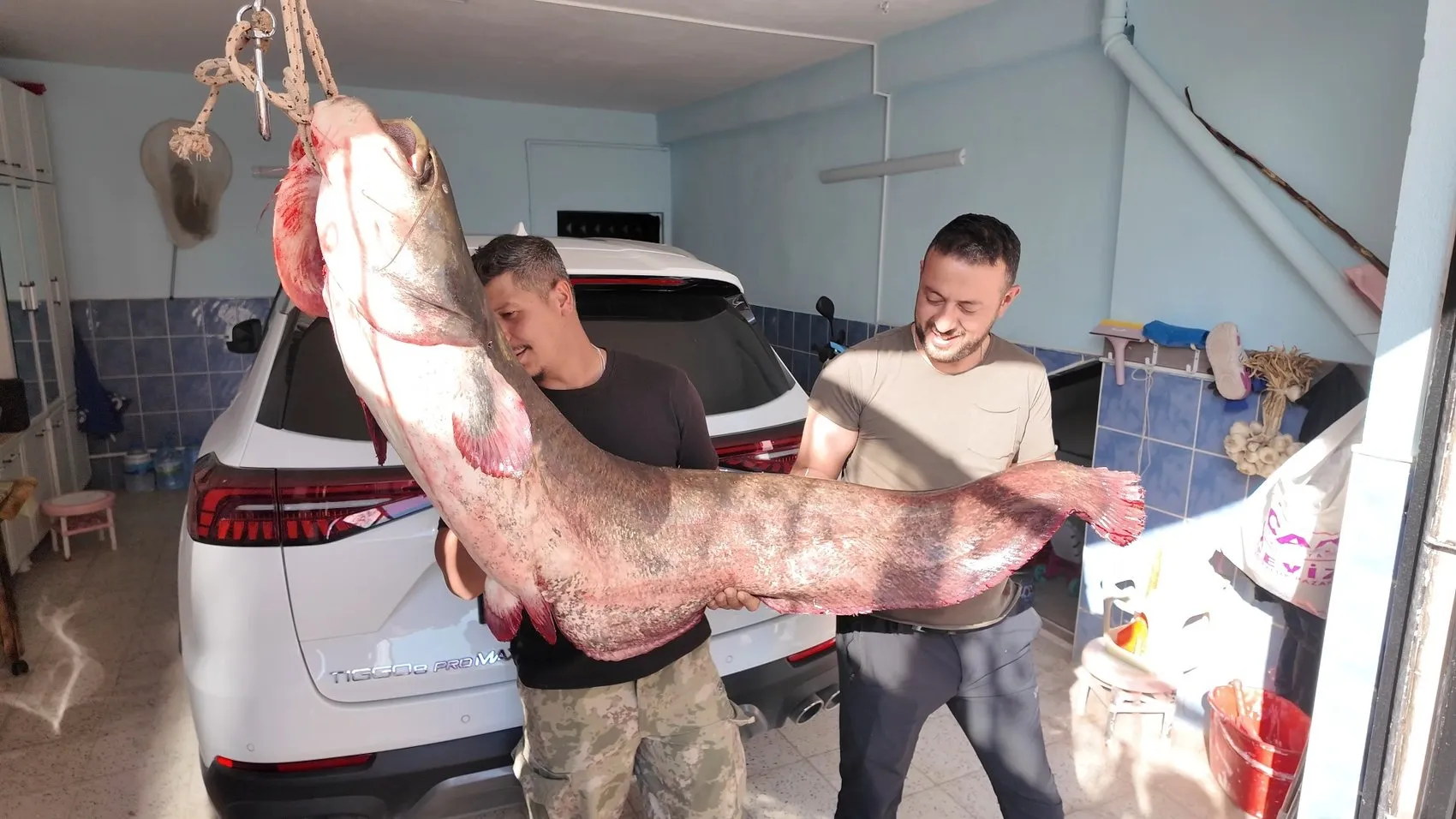Kızılırmak'ta devasa sürpriz: Oltaya takılan 45 kiloluk dev balıkçıları terletti