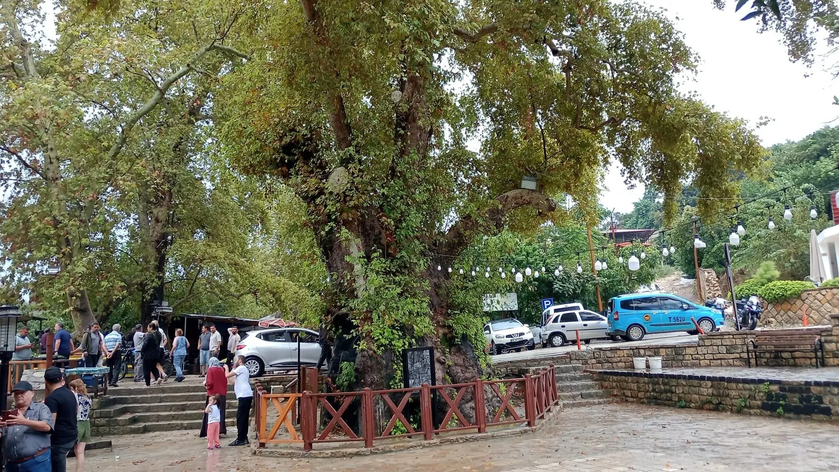 Samandağ'da kabus dolu sabah: Dereler taştı, iş yerlerini su bastı