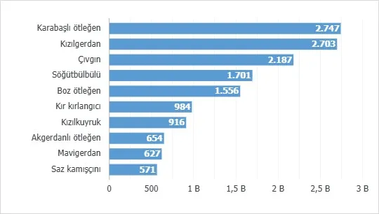 Gökyüzünün gizli yolcuları kayıt altında: Karabaşlı ötleğen zirveyi kimseye bırakmadı