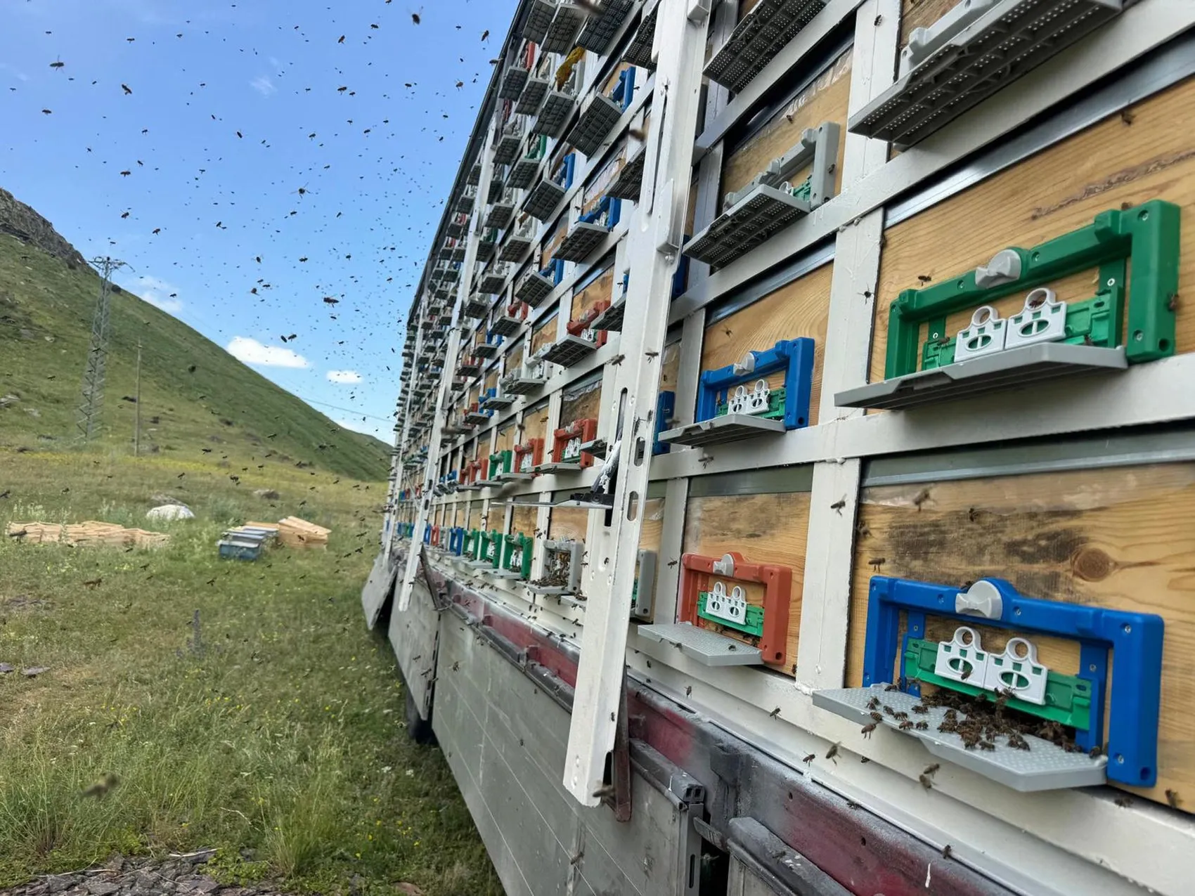 Kars'ın yaylalarında devrim: 340 kovanlık mobil arı üssüyle balın peşinde