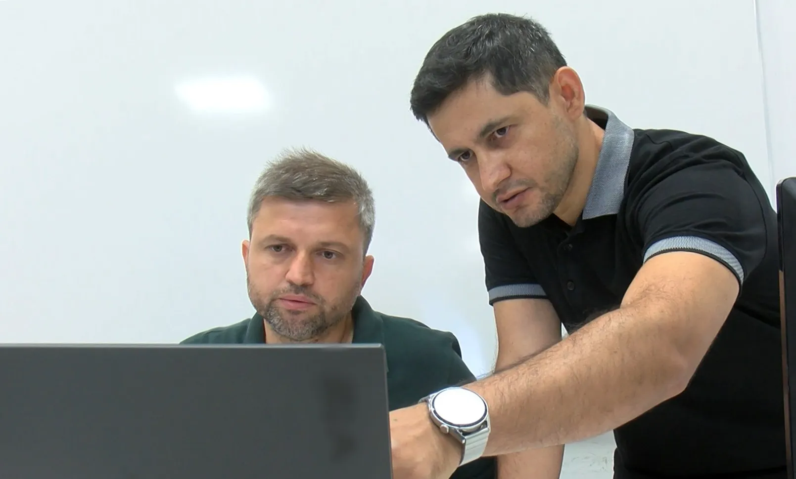 Denizlerin yeni kabusu balon balıklarına karşı dijital savunma hattı kuruluyor