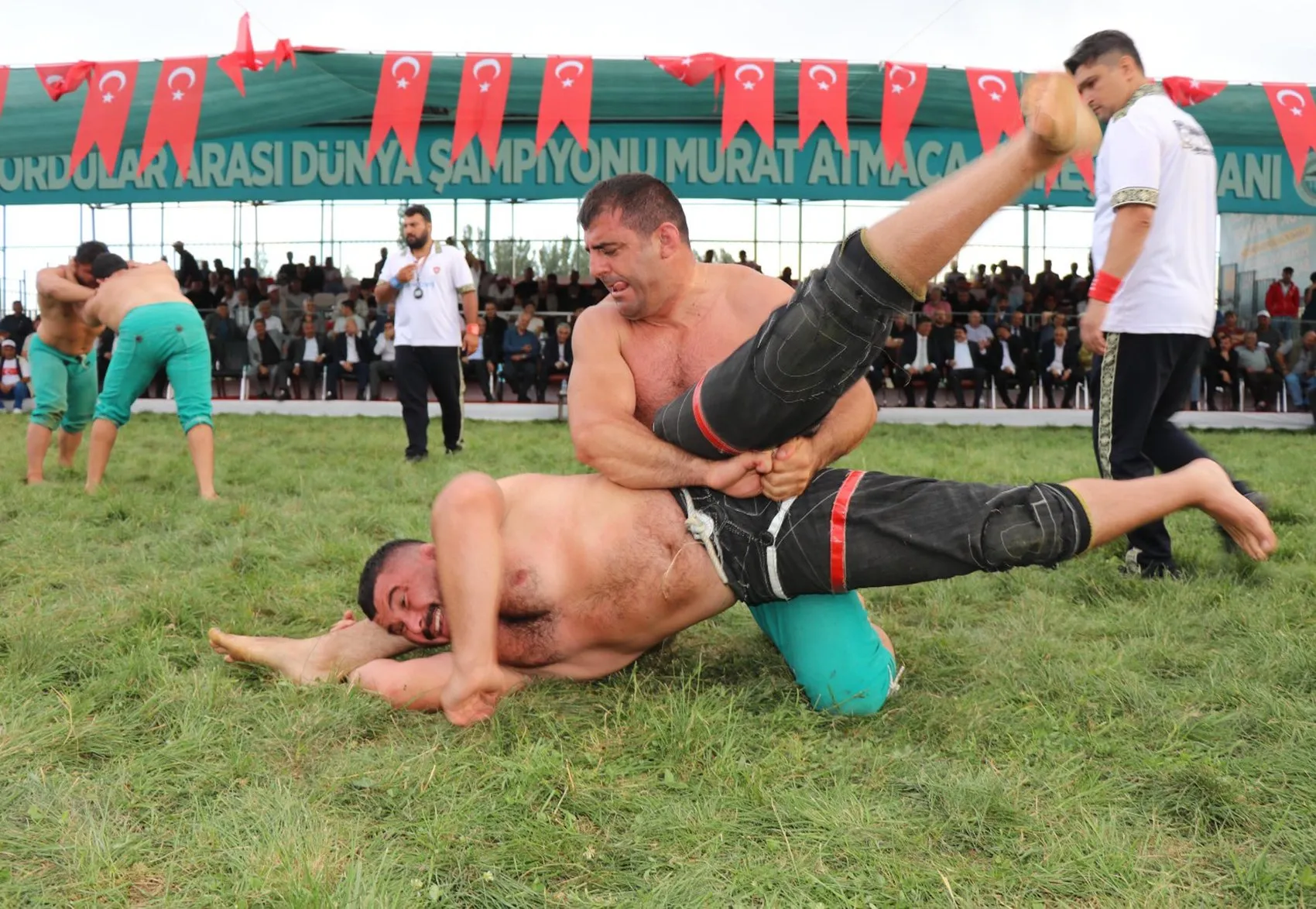Pasinler er meydanında Kenan Gör fırtınası: Doğu'nun Kırkpınar'ında başpehlivanlık tacı sahibini buldu