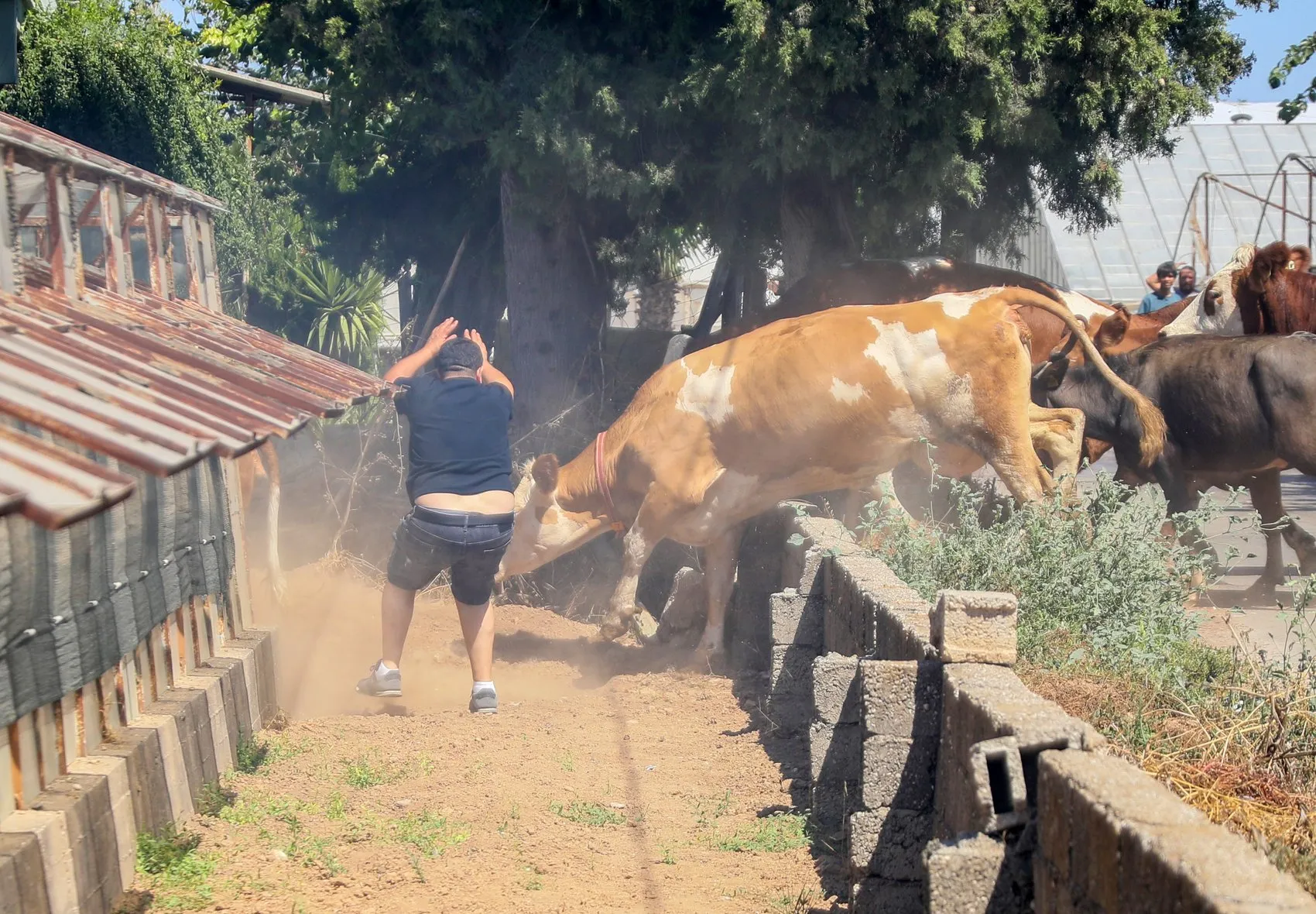 Antalya'da korku dolu anlar: Alevlerin arasından kurtardığı malağına sarılıp gözyaşı döktü