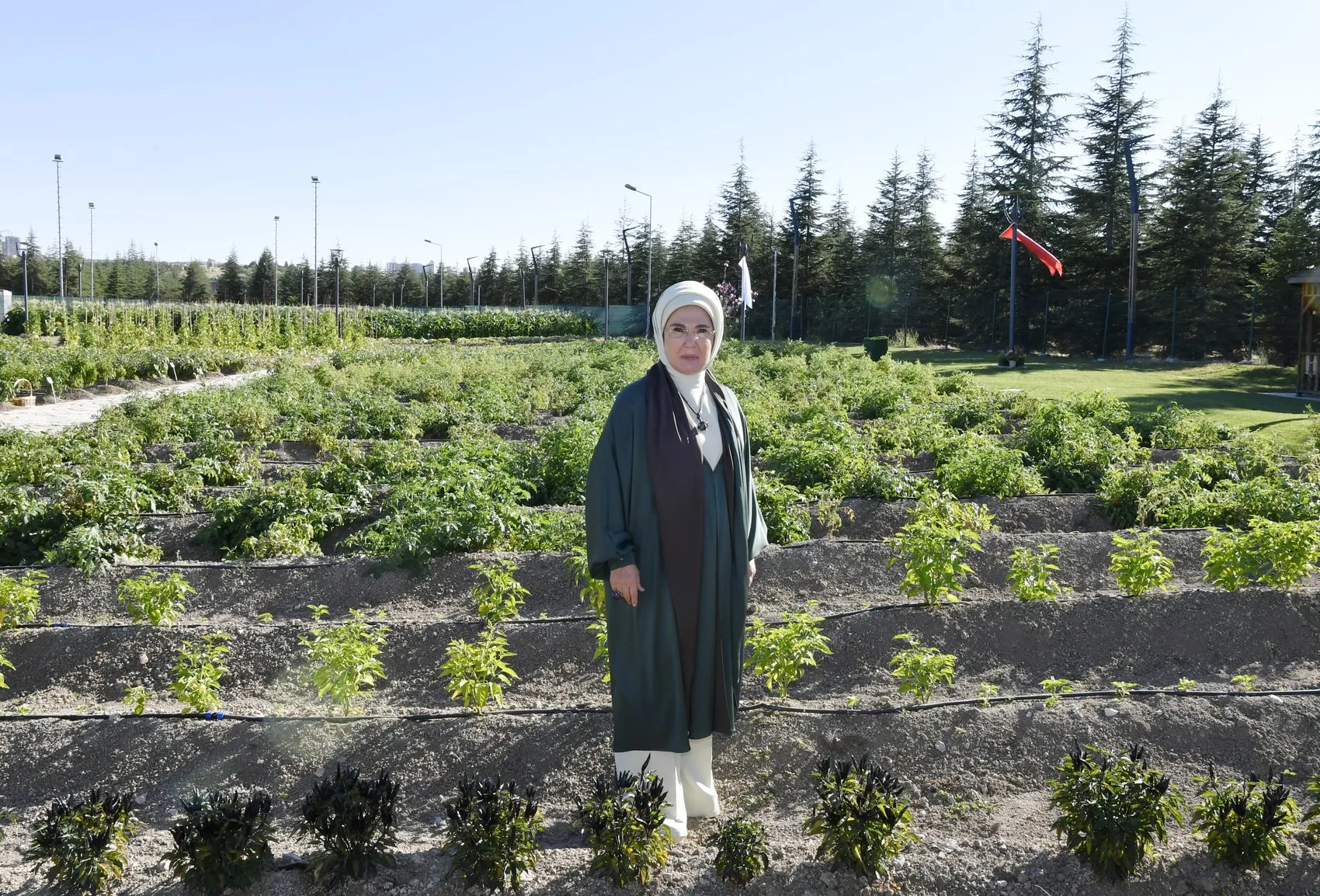 Anadolu'nun kadim tohumları Ankara'da hayat buldu: Emine Erdoğan'dan özel ziyaret