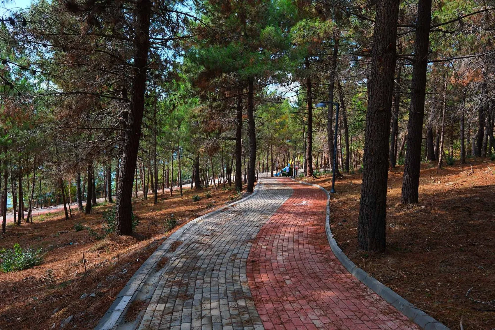 Sapanca Gölü'nde yeni dönem: Huzur Koridoru için geri sayım başladı