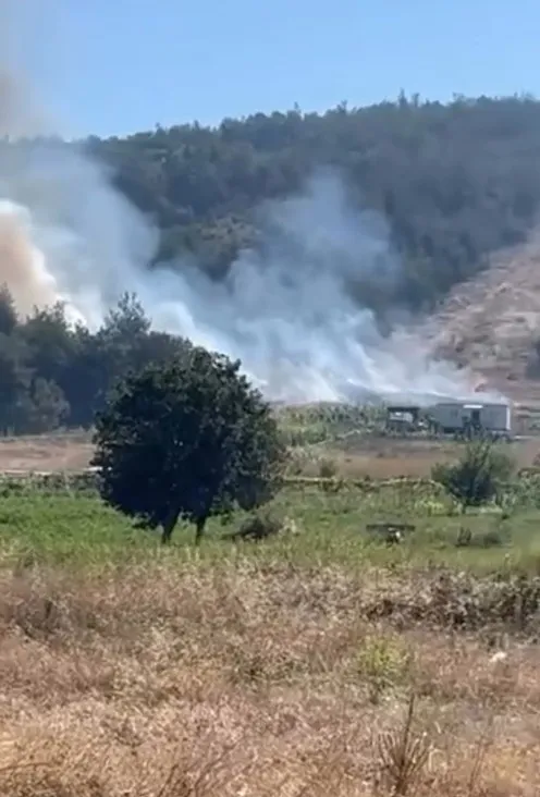 Bursa Kestel'de ormanlık alanda korkutan dumanlar yükseliyor
