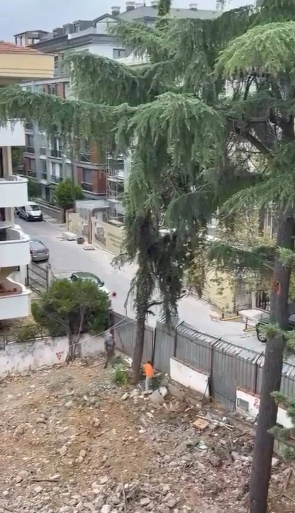 Maltepe'de inşaat alanında ihmal iddiası: Ağaç park halindeki araçların üzerine böyle çöktü