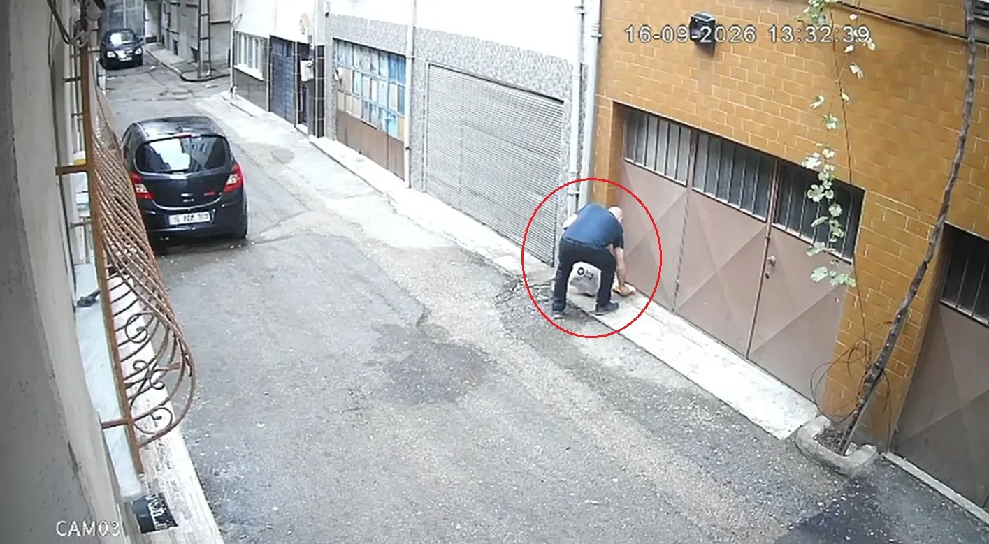 Bursa'da vicdanları sızlatan anlar: Sokak hayvanlarının mama kaplarını çöpe attılar
