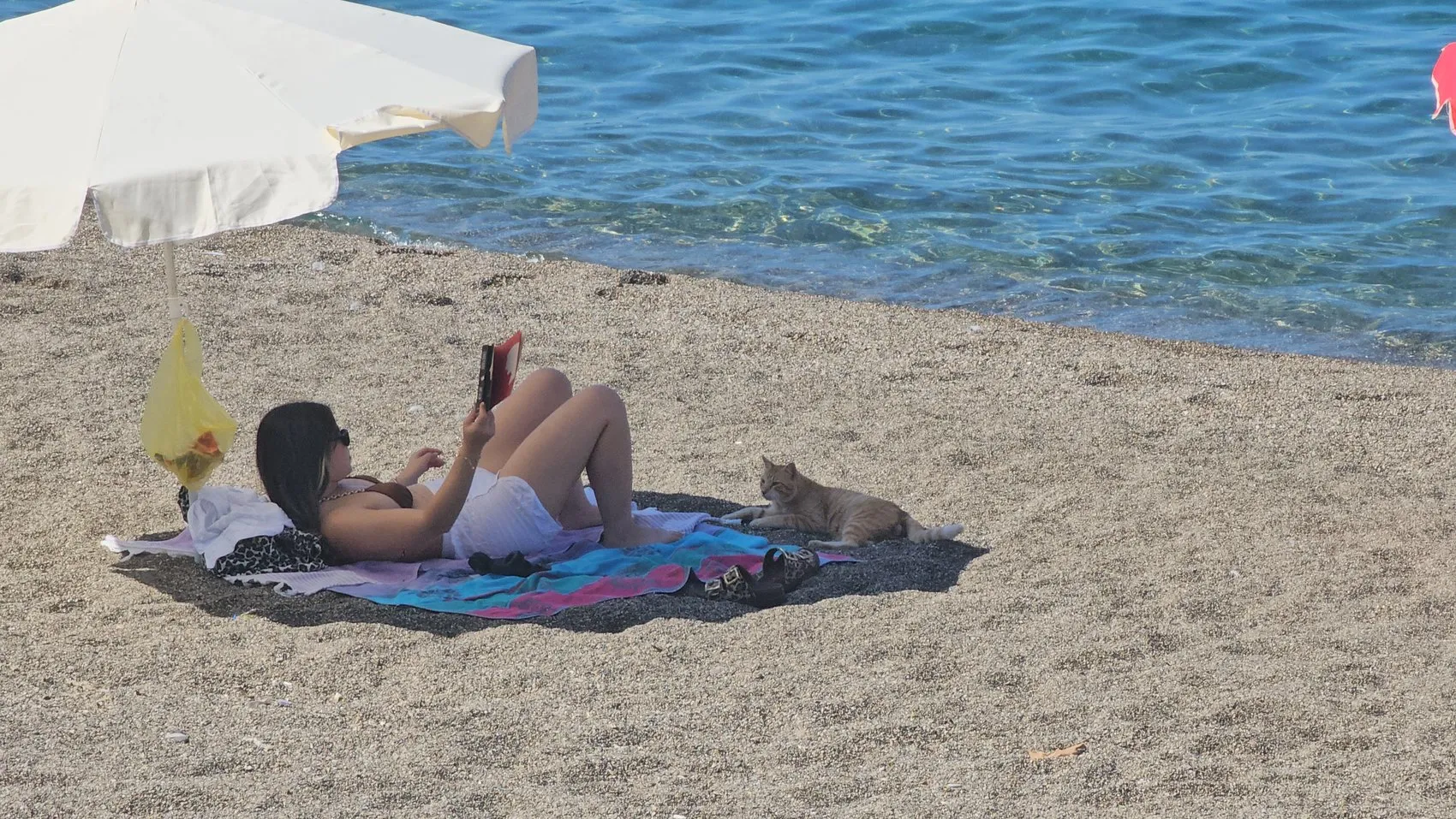 Zonguldak'ta Kapuz Plajı sürprizi: Sezon bitti denilmişti ama kapılar yeniden açıldı