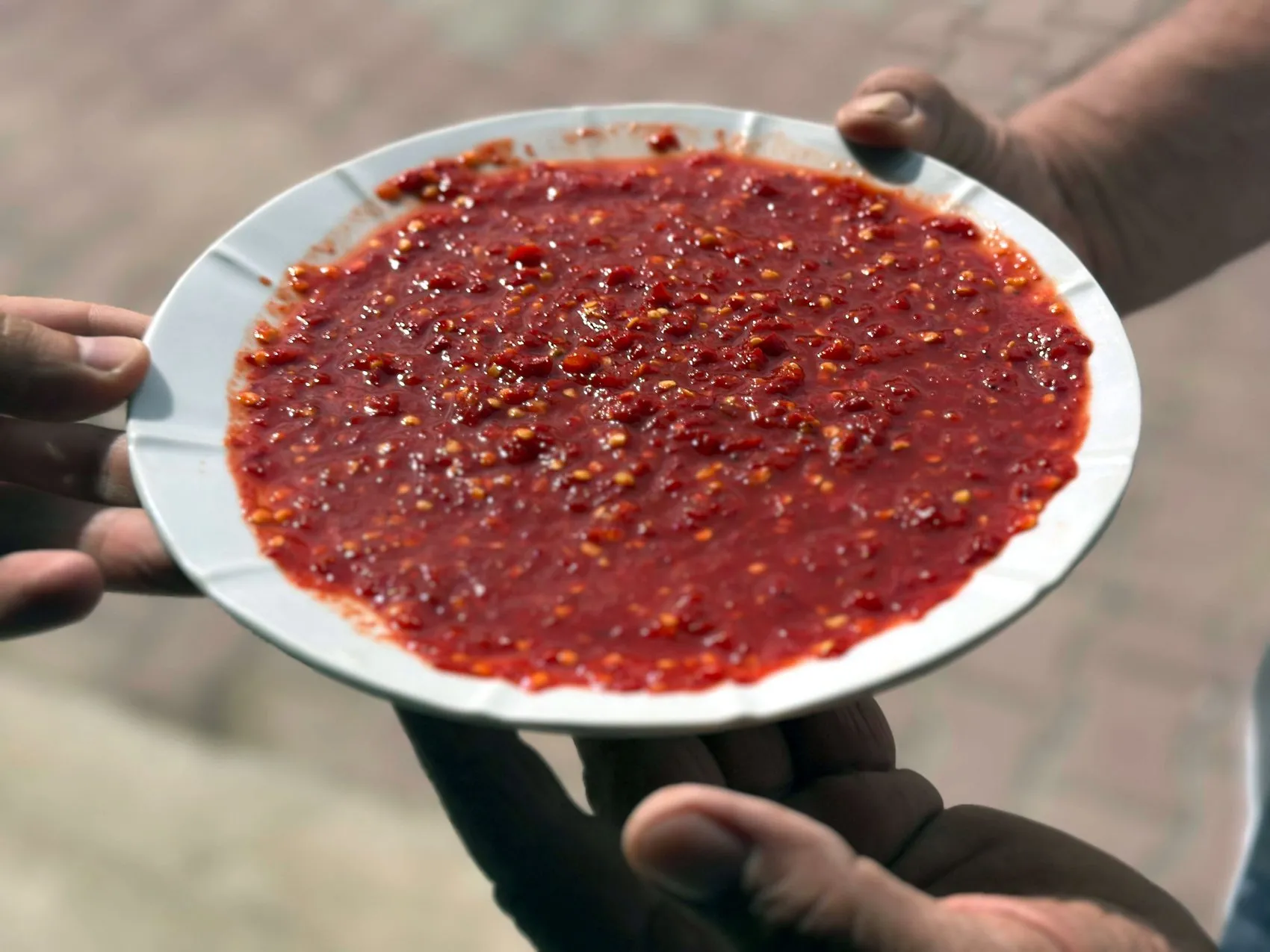 Edirne'nin lezzet sırrı Karaağaç biberinde hasat ve kurutma telaşı