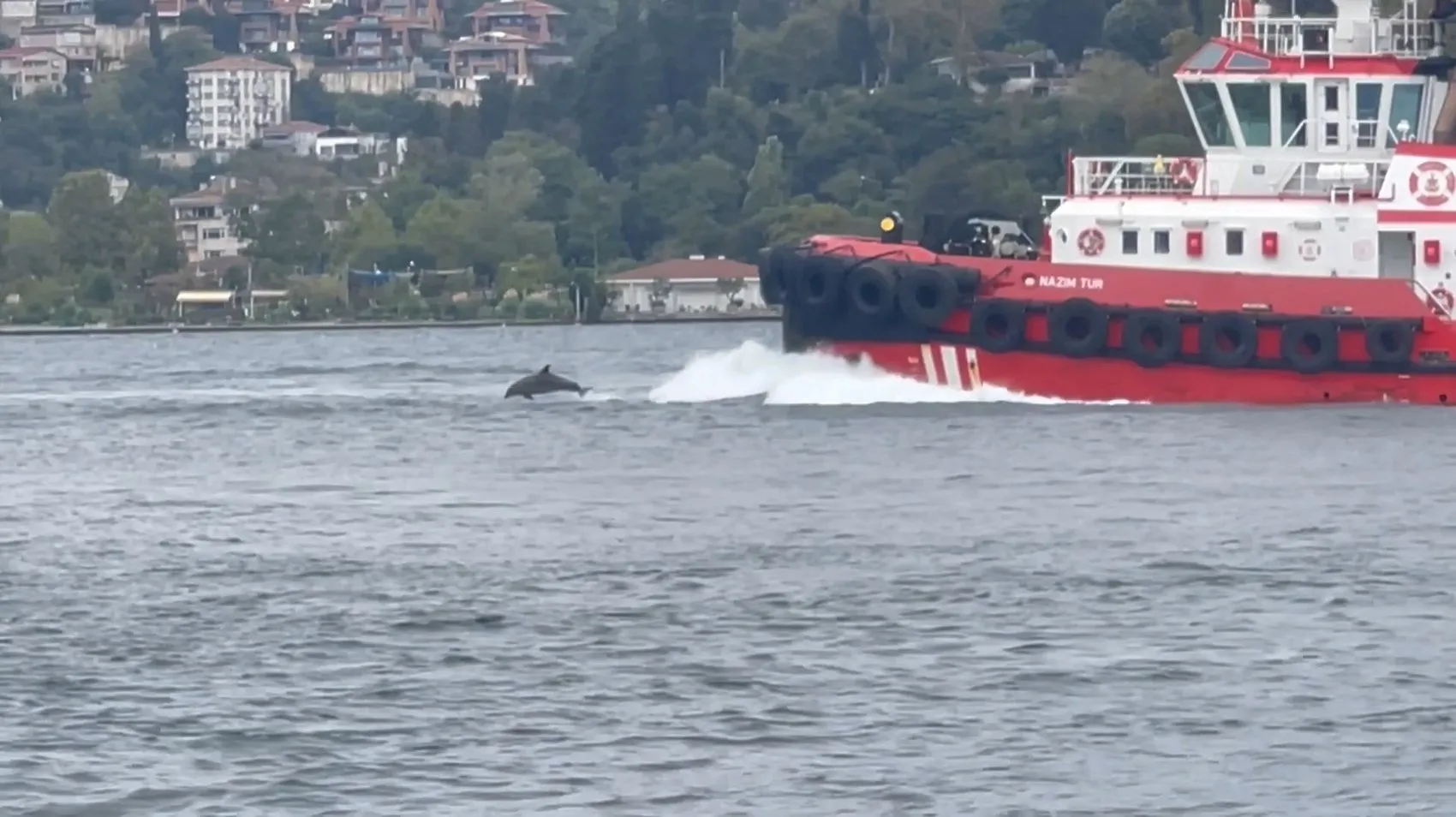 İstanbul Boğazı'nın sabah misafirleri: Kıyı Emniyeti gemisine eşlik ettiler