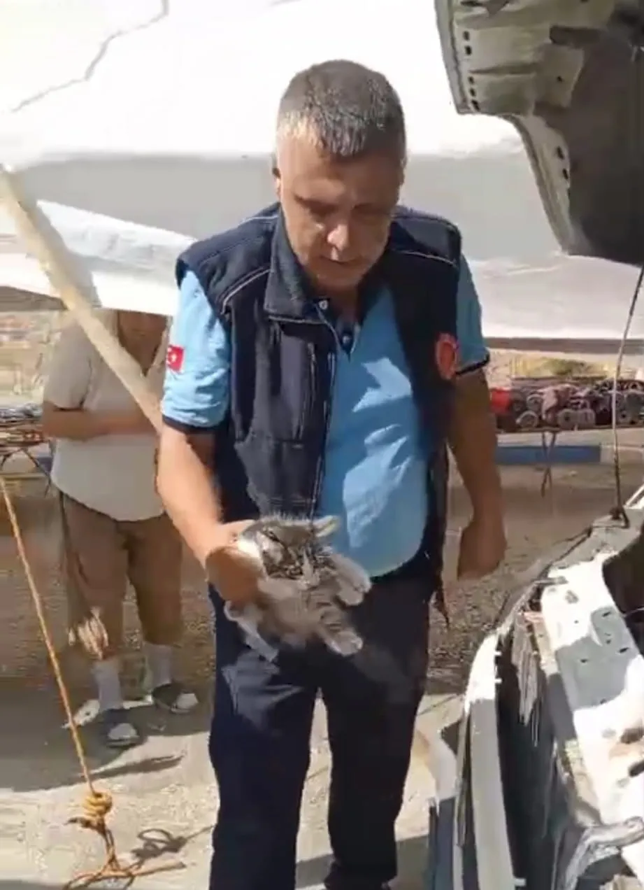 Pazarcı esnafının sabah sürprizi: Minibüsün motorundan gelen ses herkesi harekete geçirdi
