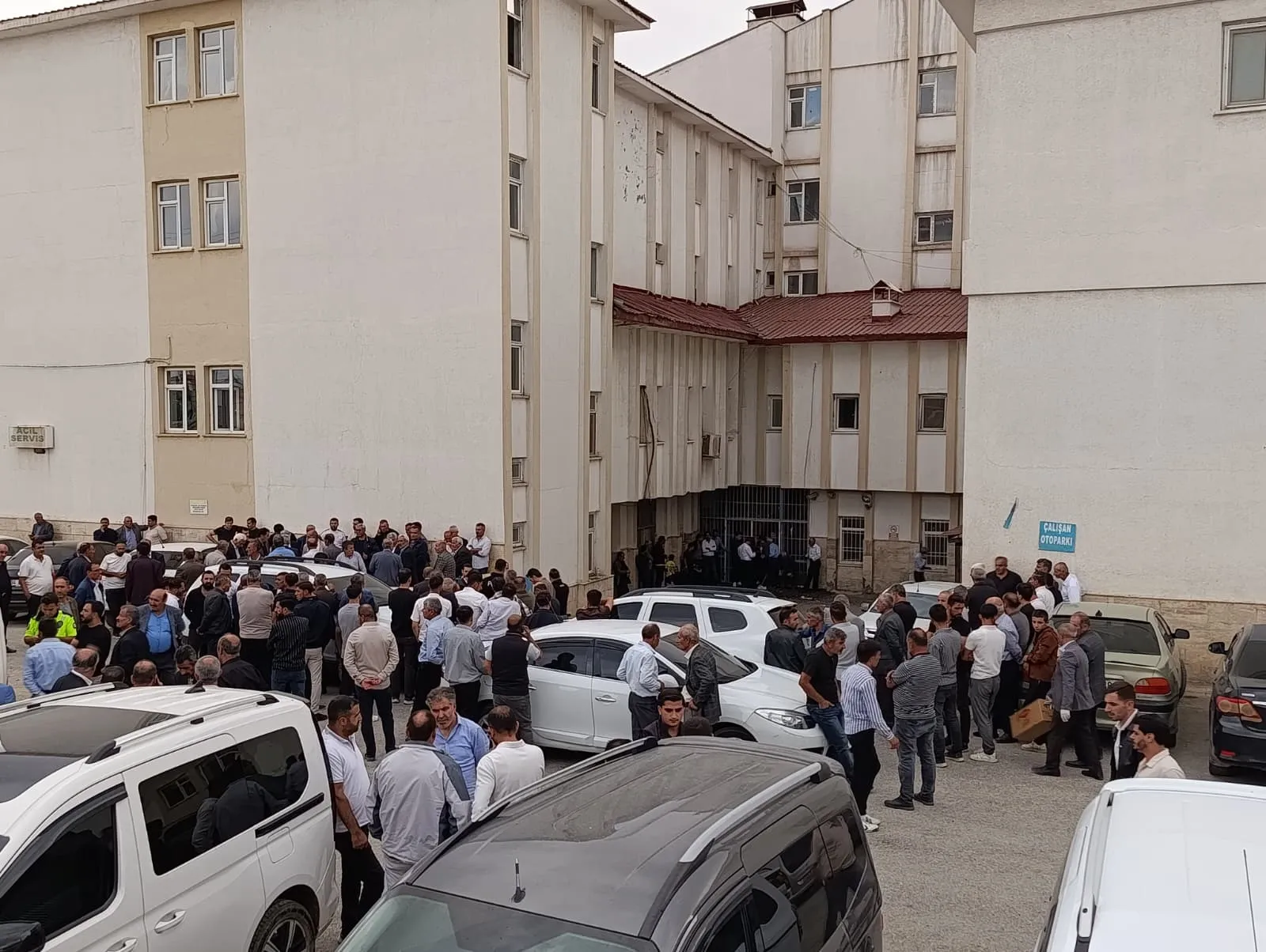 Başkale'de çobanlık yapan genç dere sularına yenik düştü