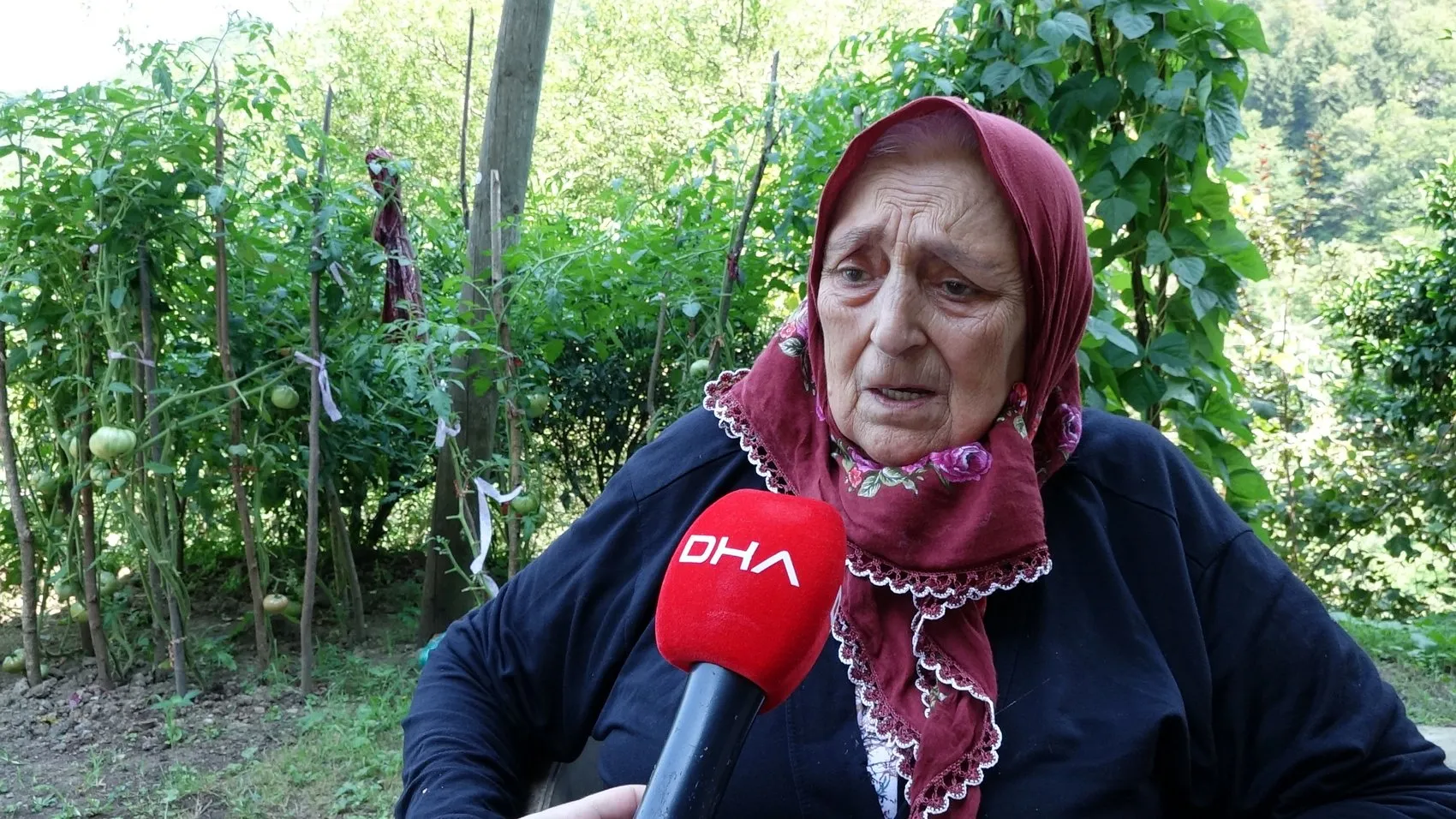 Fındık bahçelerinde kabus sona erdi: Samuray ordusu kokarcayı dize getirdi