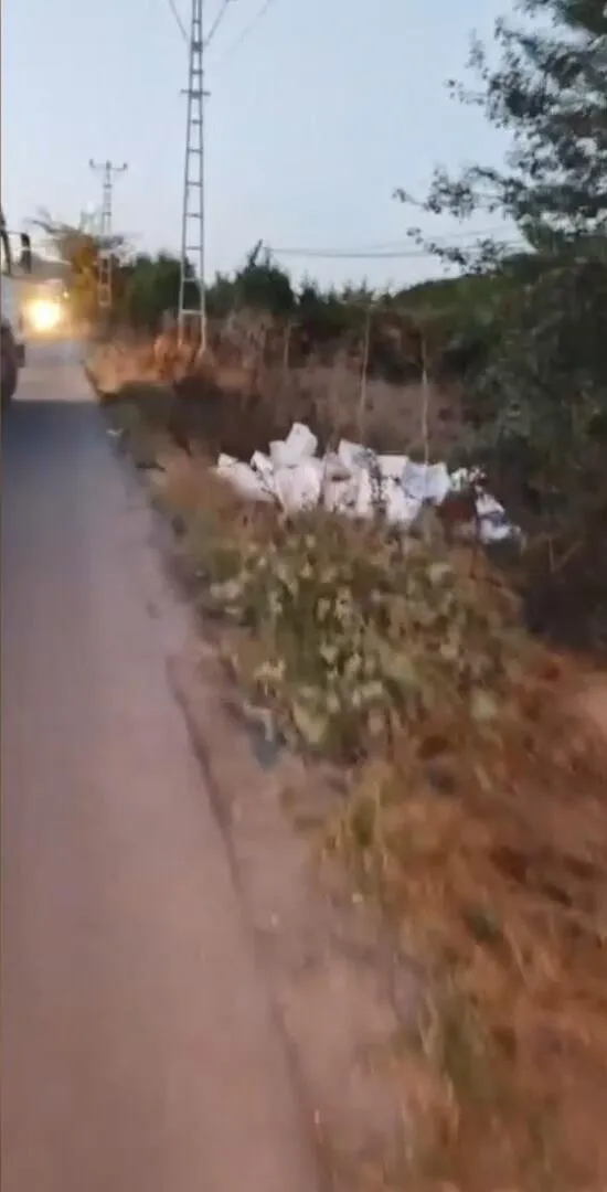 Arnavutköy'de vicdansızlık kamerada: Çayırlığa boşalttığı tonlarca bozuk balık başına dert oldu