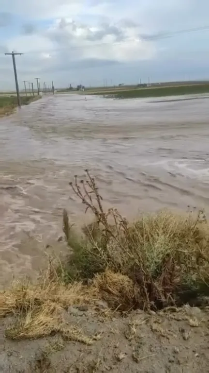 Niğde'de aniden bastıran sağanak tarım arazilerini sular altında bıraktı