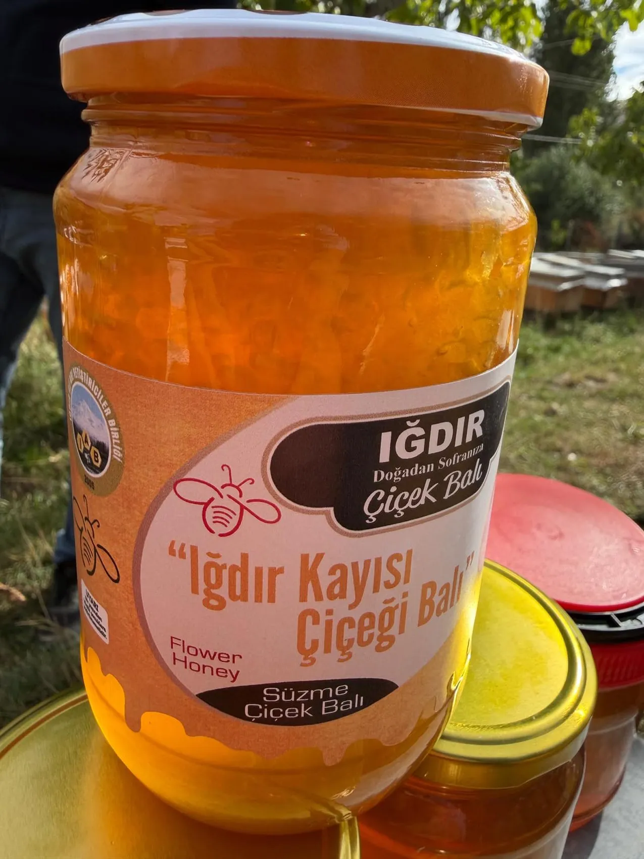 Iğdır'ın gizli hazinesi gün yüzüne çıktı: Kayısı bahçelerinden sofralara uzanan eşsiz lezzet