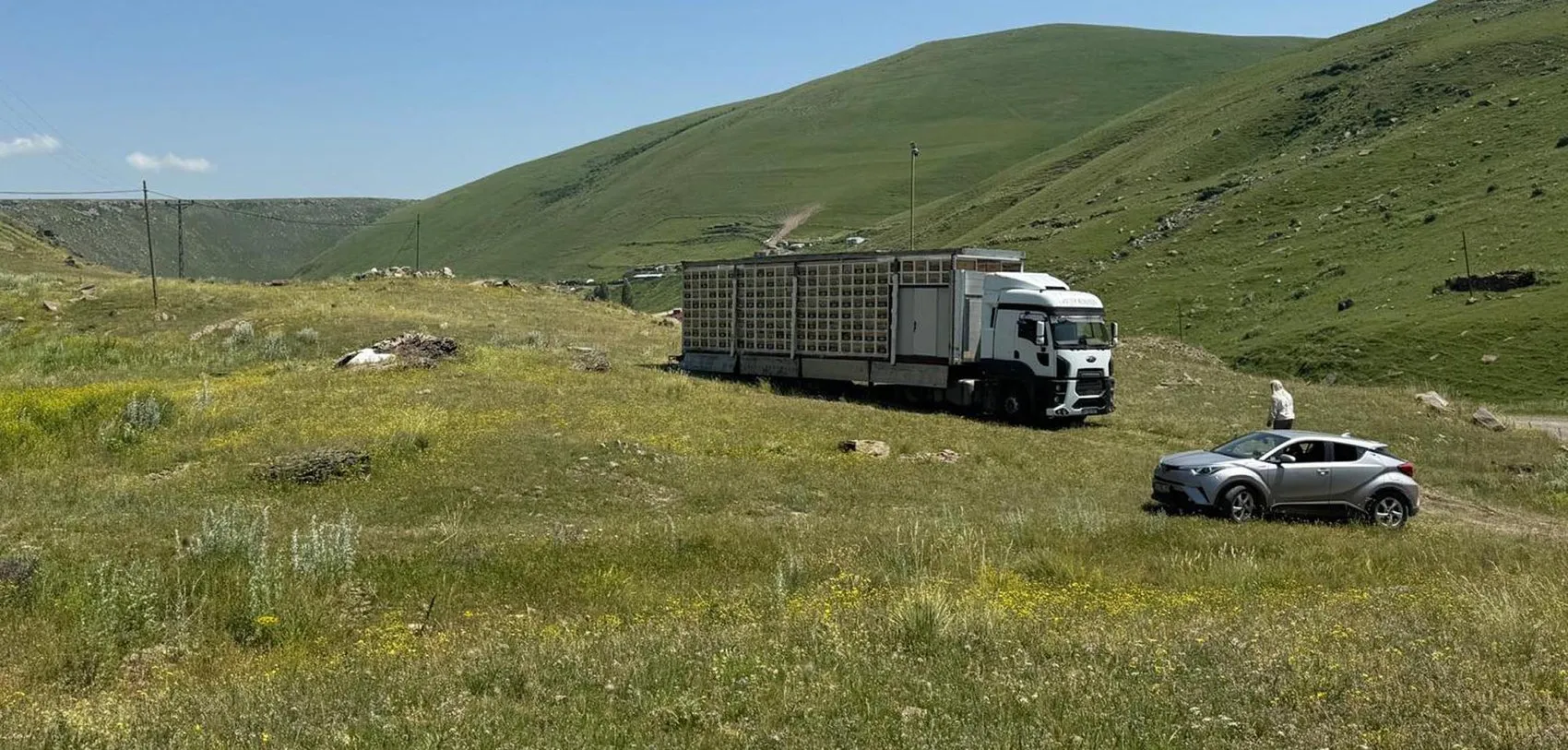 Kars'ın yaylalarında devrim: 340 kovanlık mobil arı üssüyle balın peşinde