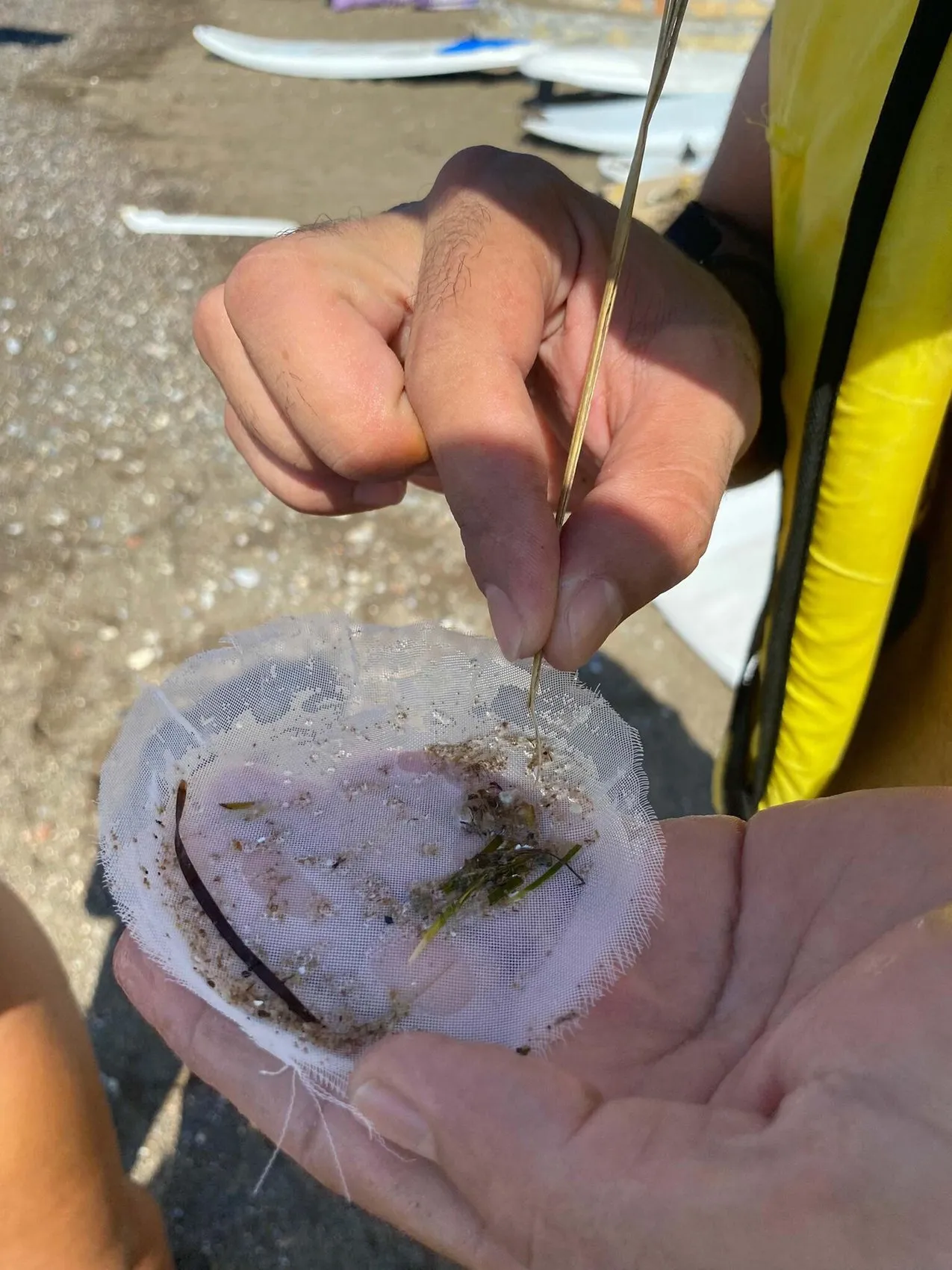 Gezegenin plastik kabusu: 2060 yılına kadar üç katına çıkacak devasa bir tehditle karşı karşıyayız
